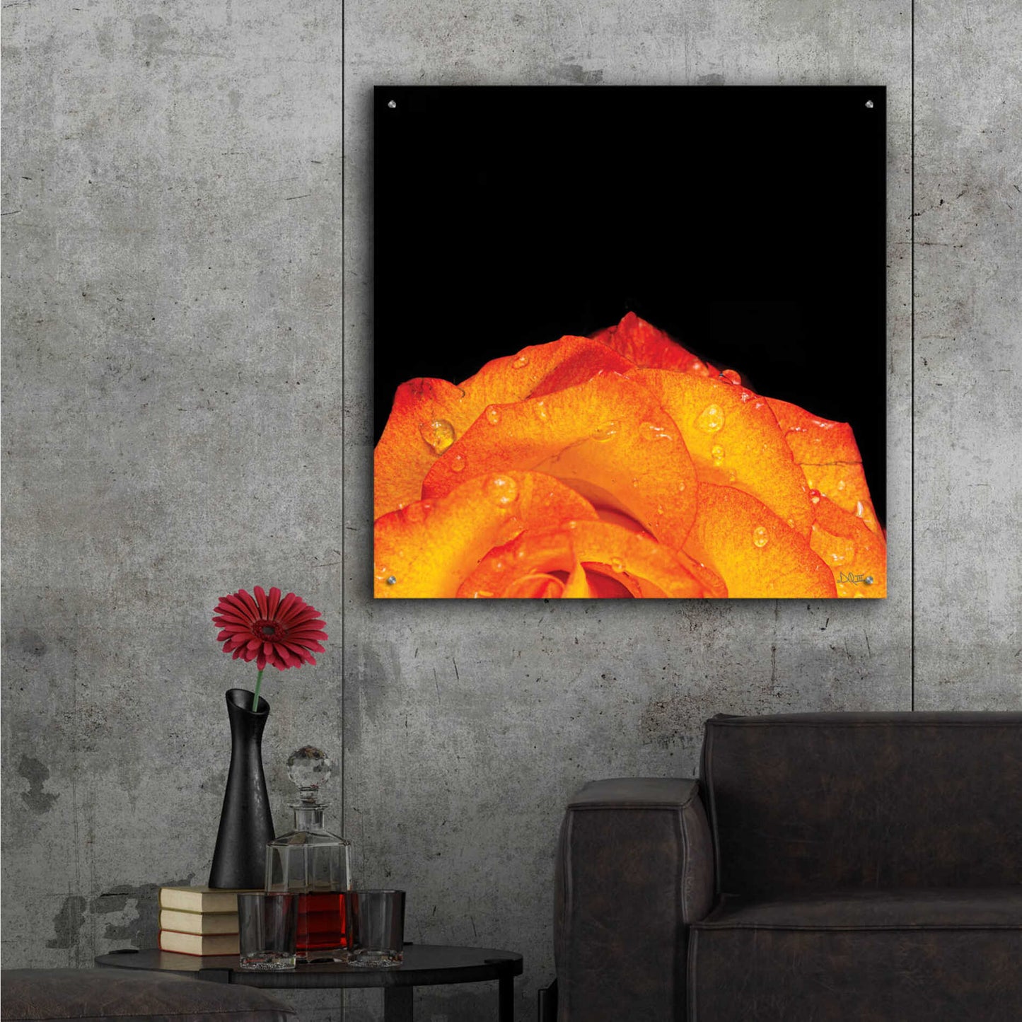 Epic Art 'Orange Petals' by Donnie Quillen, Acrylic Glass Wall Art,36x36