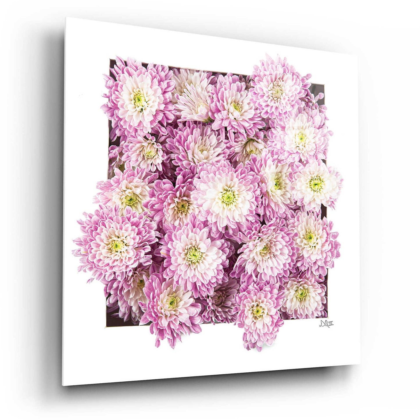 Epic Art 'Pretty in Purple II' by Donnie Quillen, Acrylic Glass Wall Art,12x12