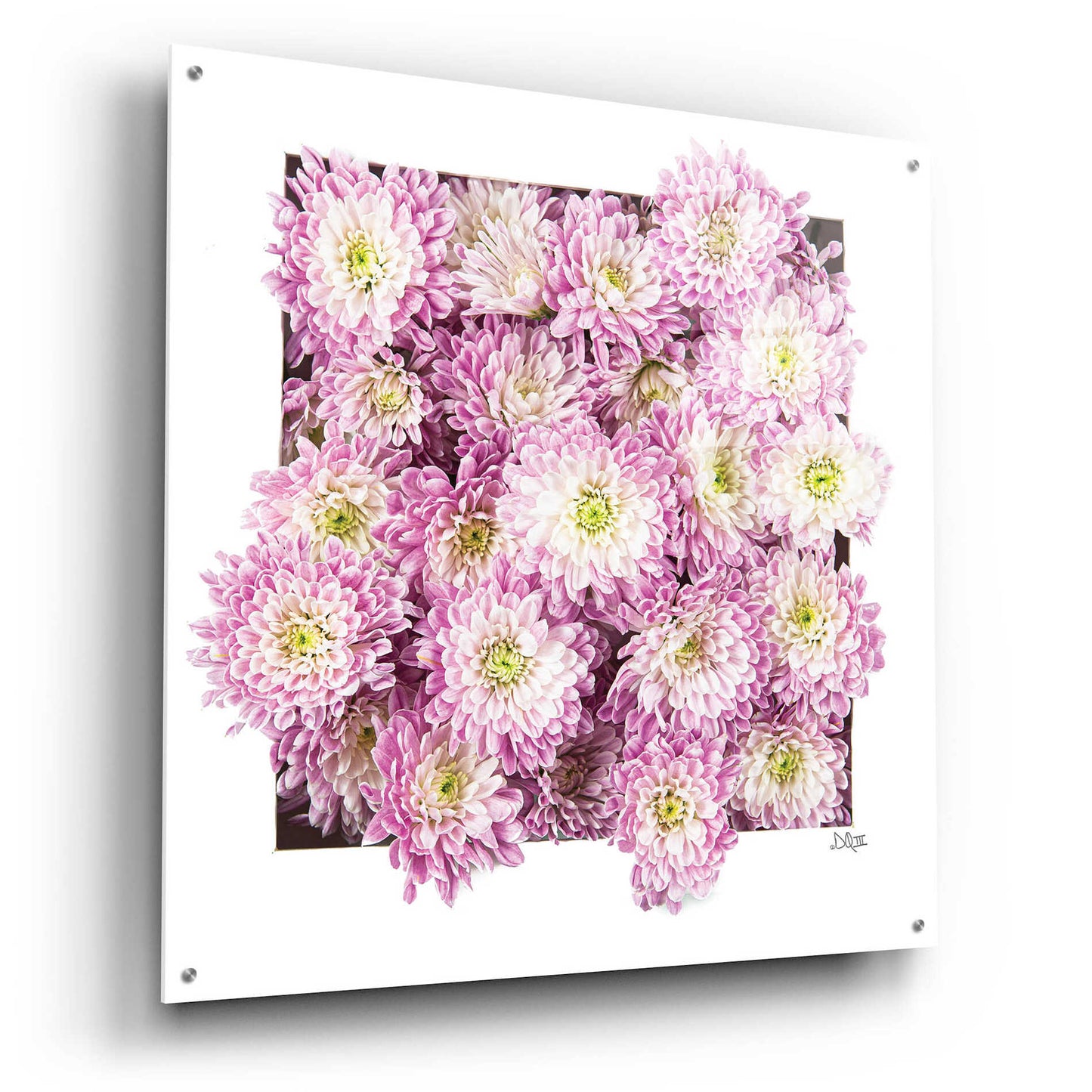 Epic Art 'Pretty in Purple II' by Donnie Quillen, Acrylic Glass Wall Art,36x36