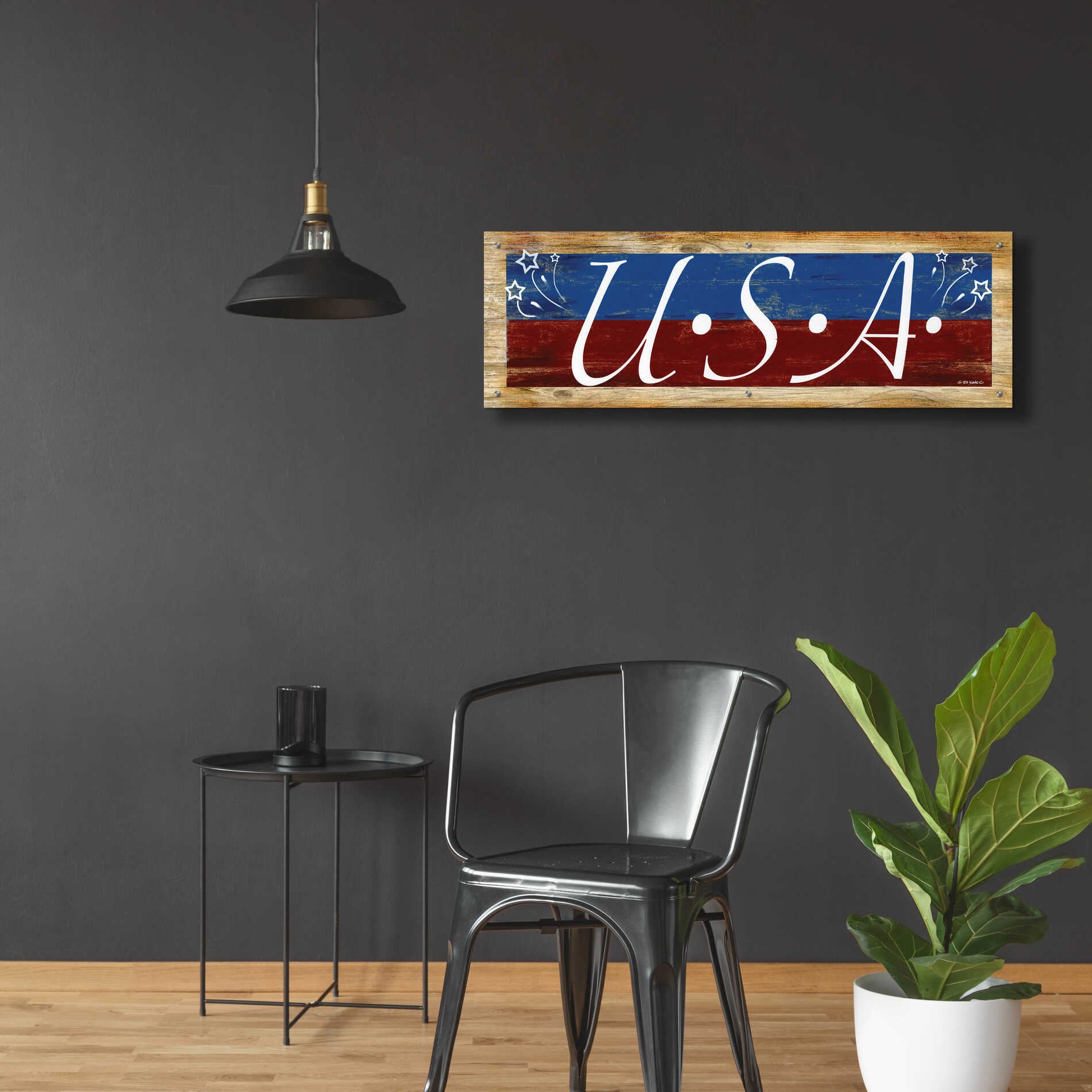 Epic Art 'USA' by Ed Wargo, Acrylic Glass Wall Art,48x16