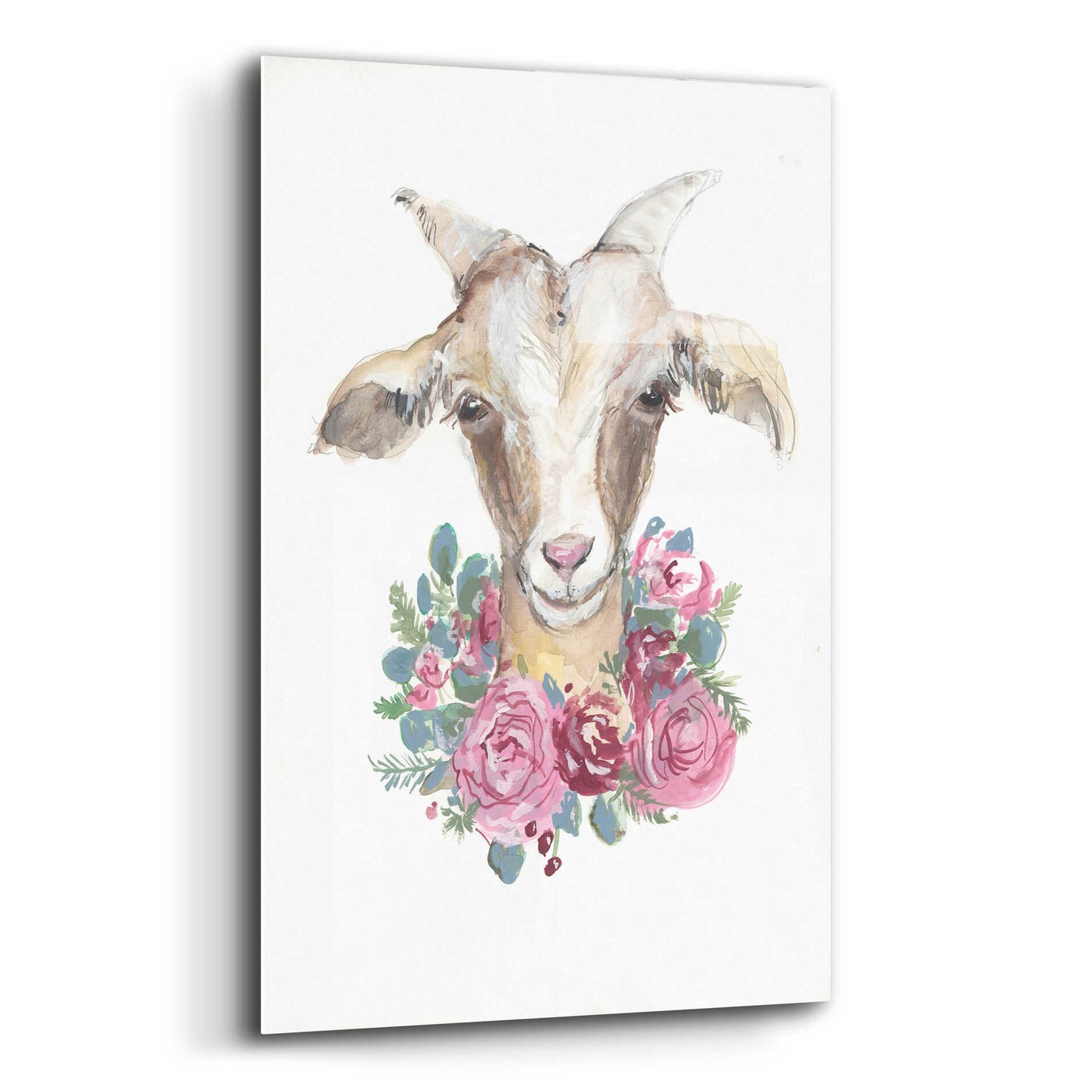 Epic Art 'Rosie the Goat' by Jessica Mingo, Acrylic Glass Wall Art,12x16