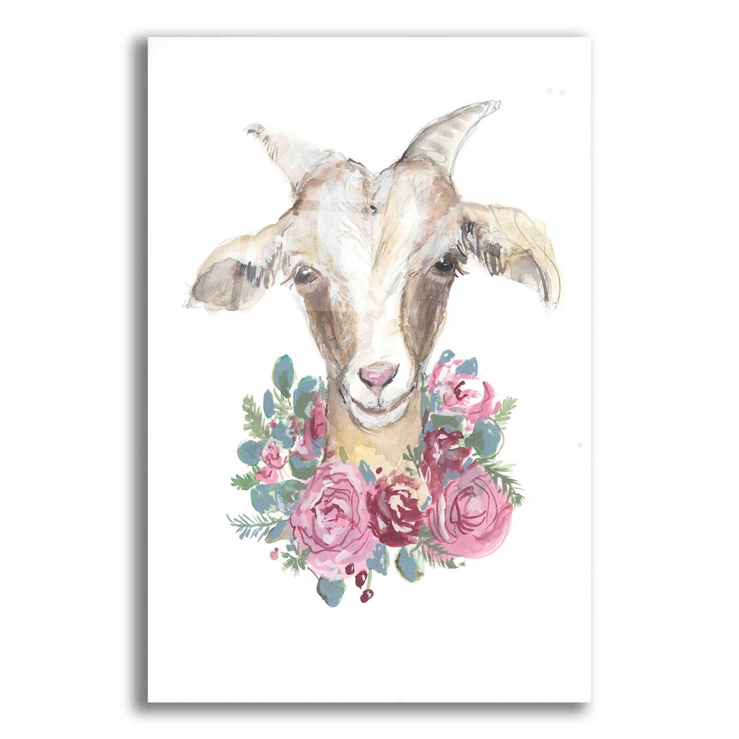 Epic Art 'Rosie the Goat' by Jessica Mingo, Acrylic Glass Wall Art,12x16