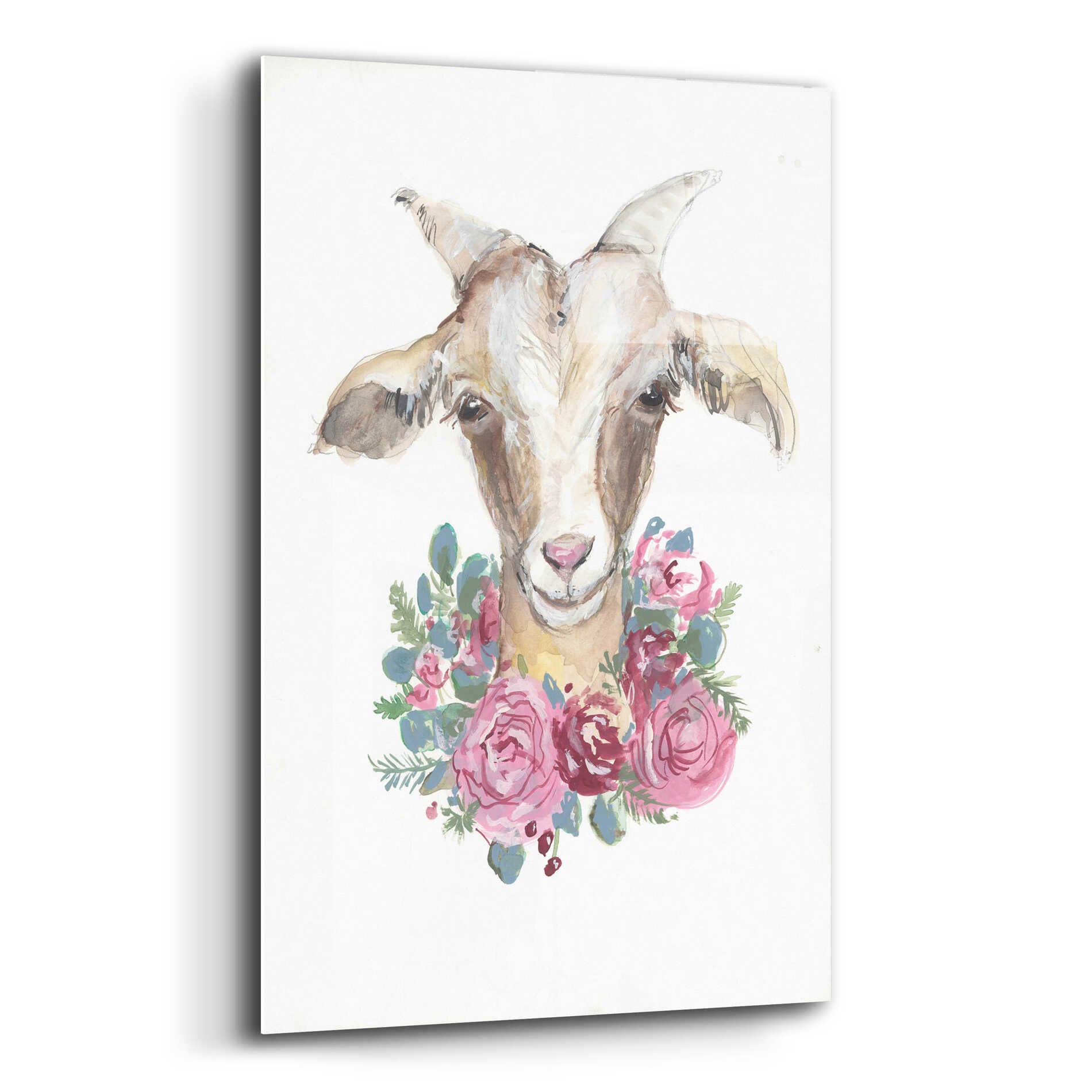 Epic Art 'Rosie the Goat' by Jessica Mingo, Acrylic Glass Wall Art,16x24