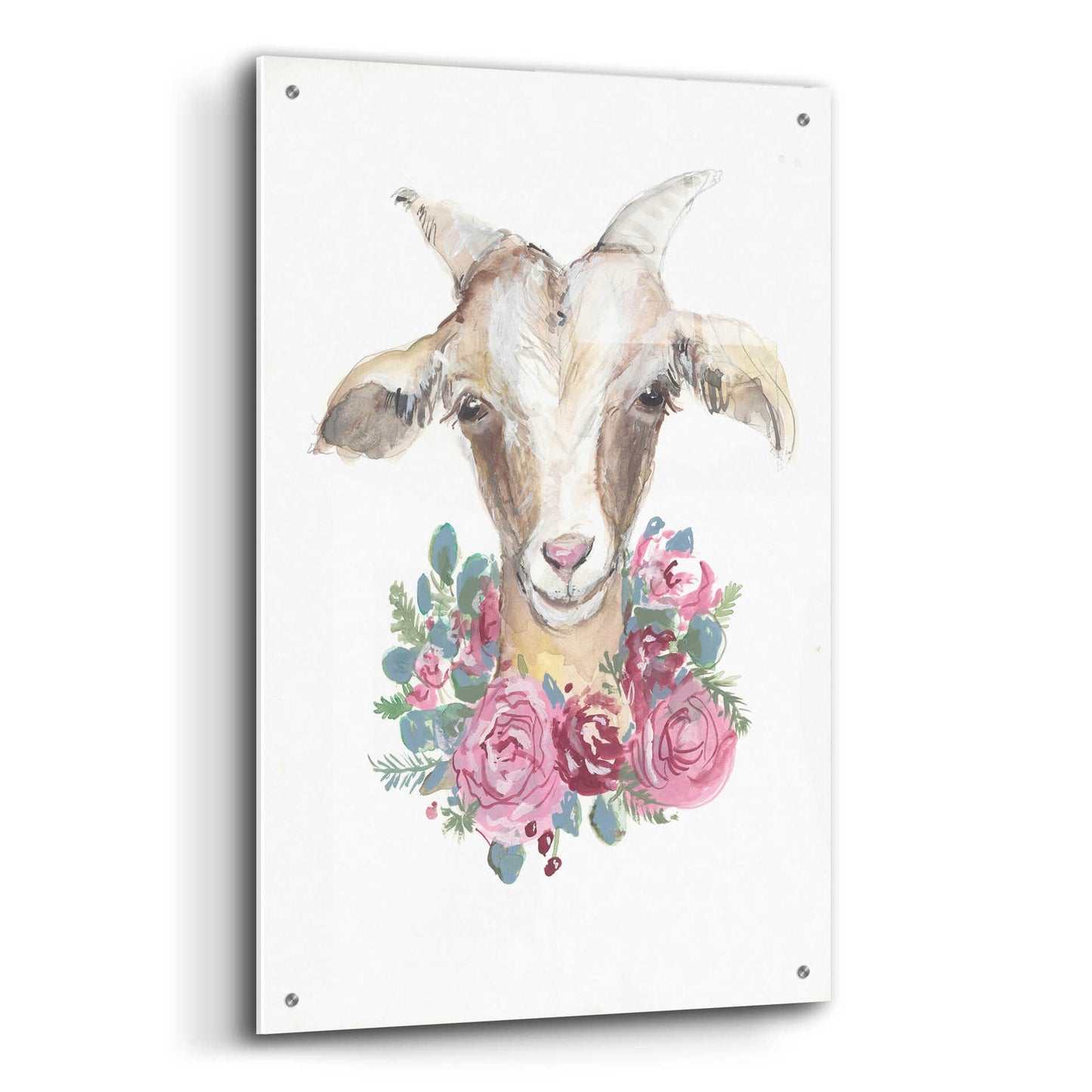 Epic Art 'Rosie the Goat' by Jessica Mingo, Acrylic Glass Wall Art,24x36