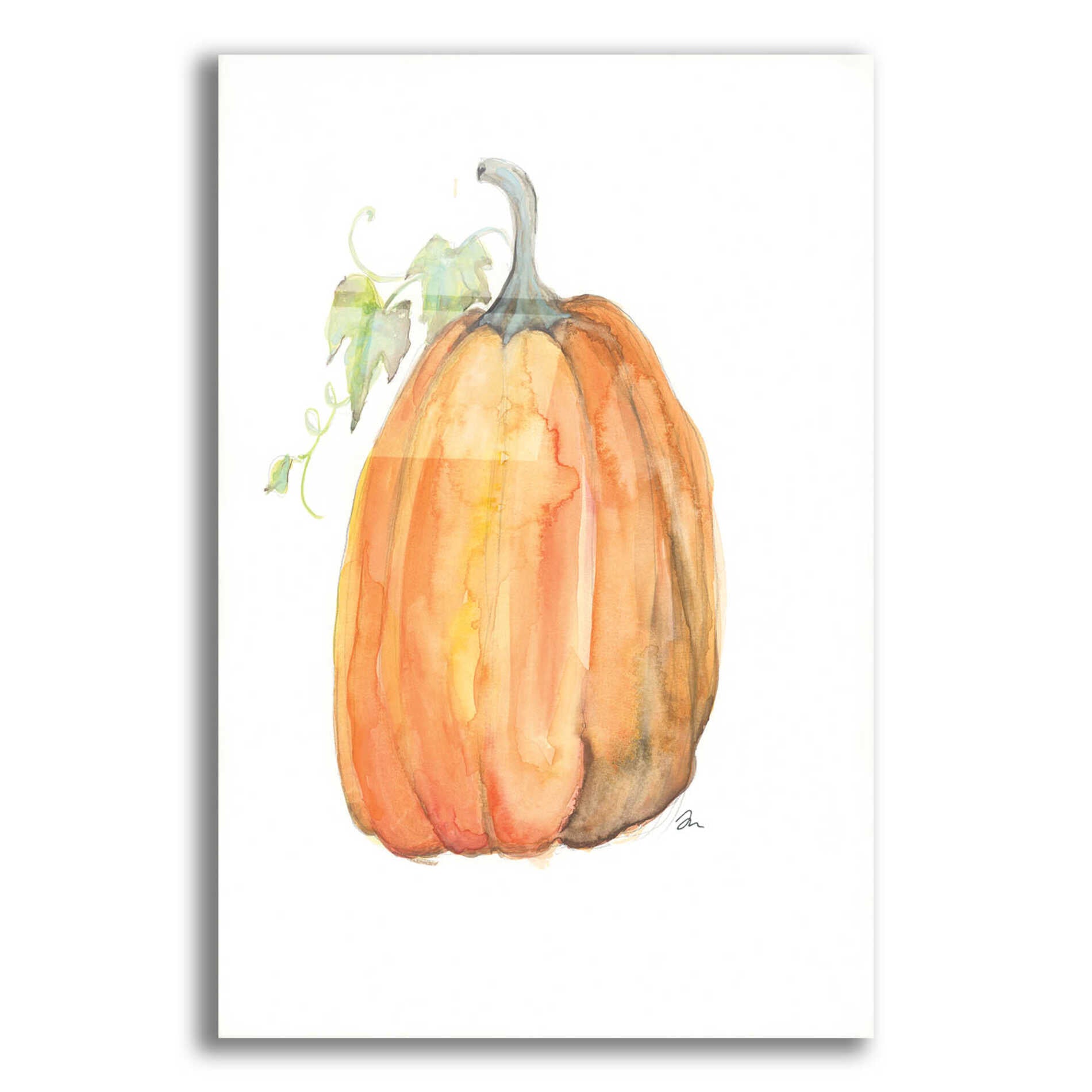 Epic Art 'Plump Pumpkin' by Jessica Mingo, Acrylic Glass Wall Art,16x24