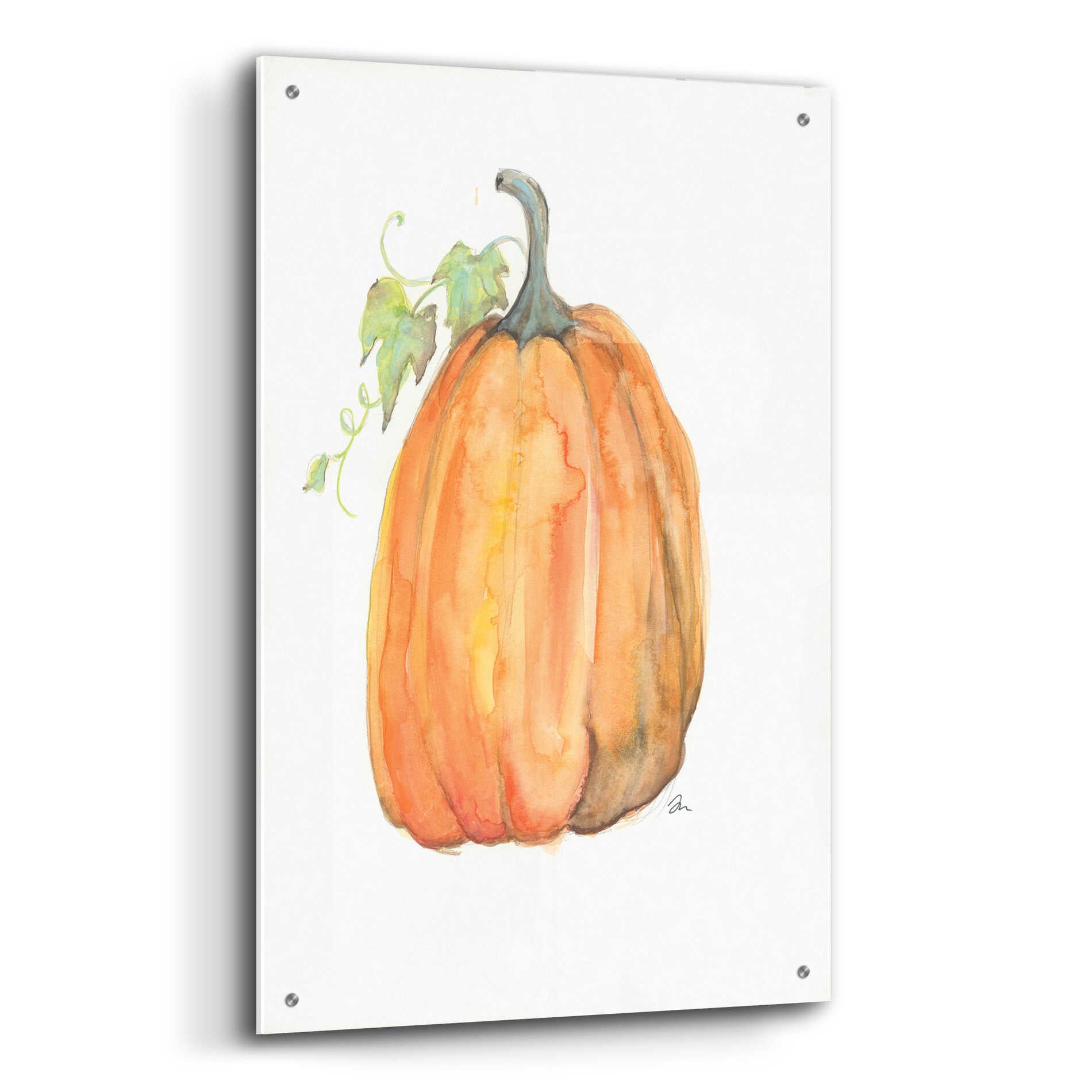 Epic Art 'Plump Pumpkin' by Jessica Mingo, Acrylic Glass Wall Art,24x36