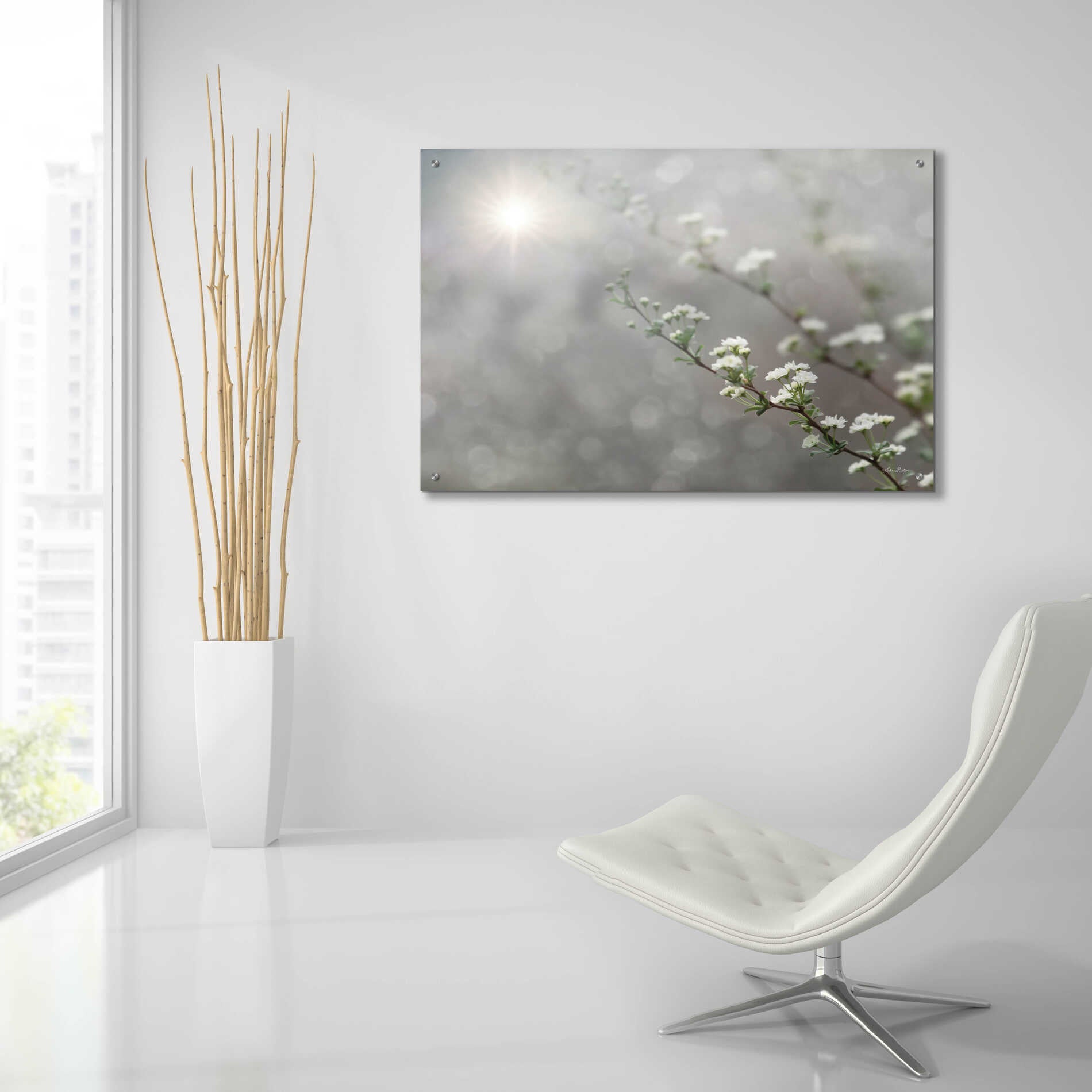 Epic Art 'Floral Dreams' by Lori Deiter, Acrylic Glass Wall Art,36x24