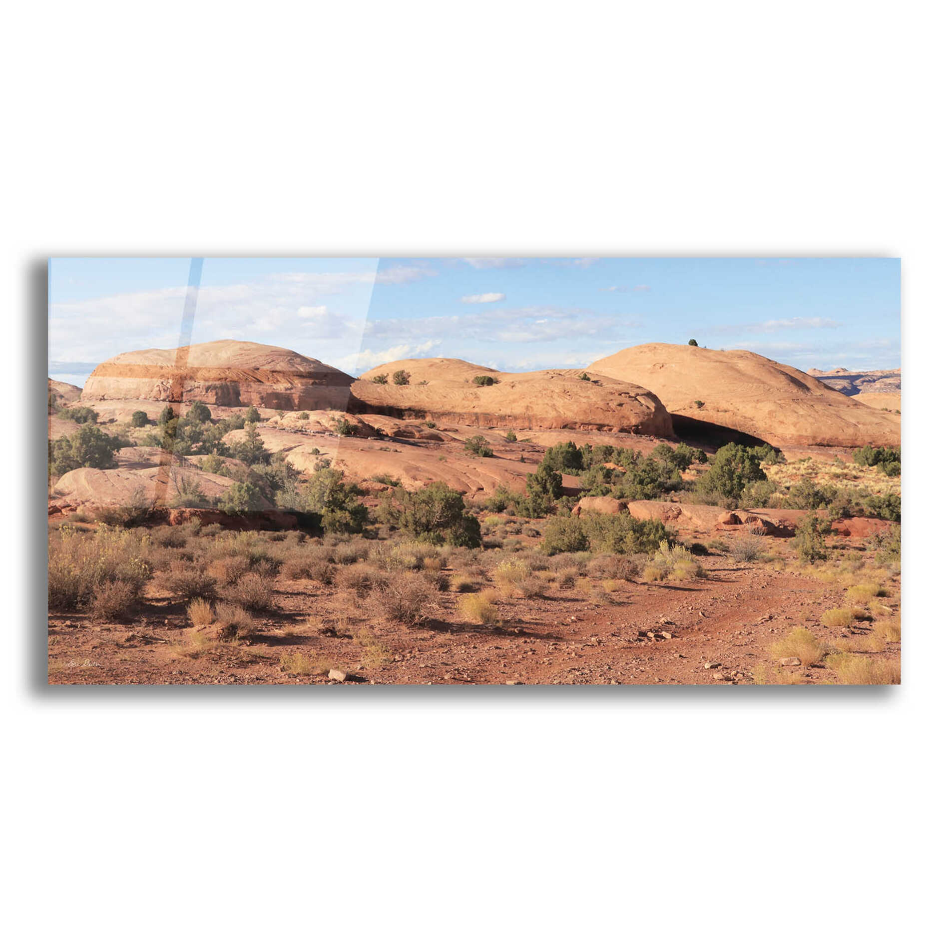 Epic Art 'Moab Sand Flats I' by Lori Deiter, Acrylic Glass Wall Art,24x12