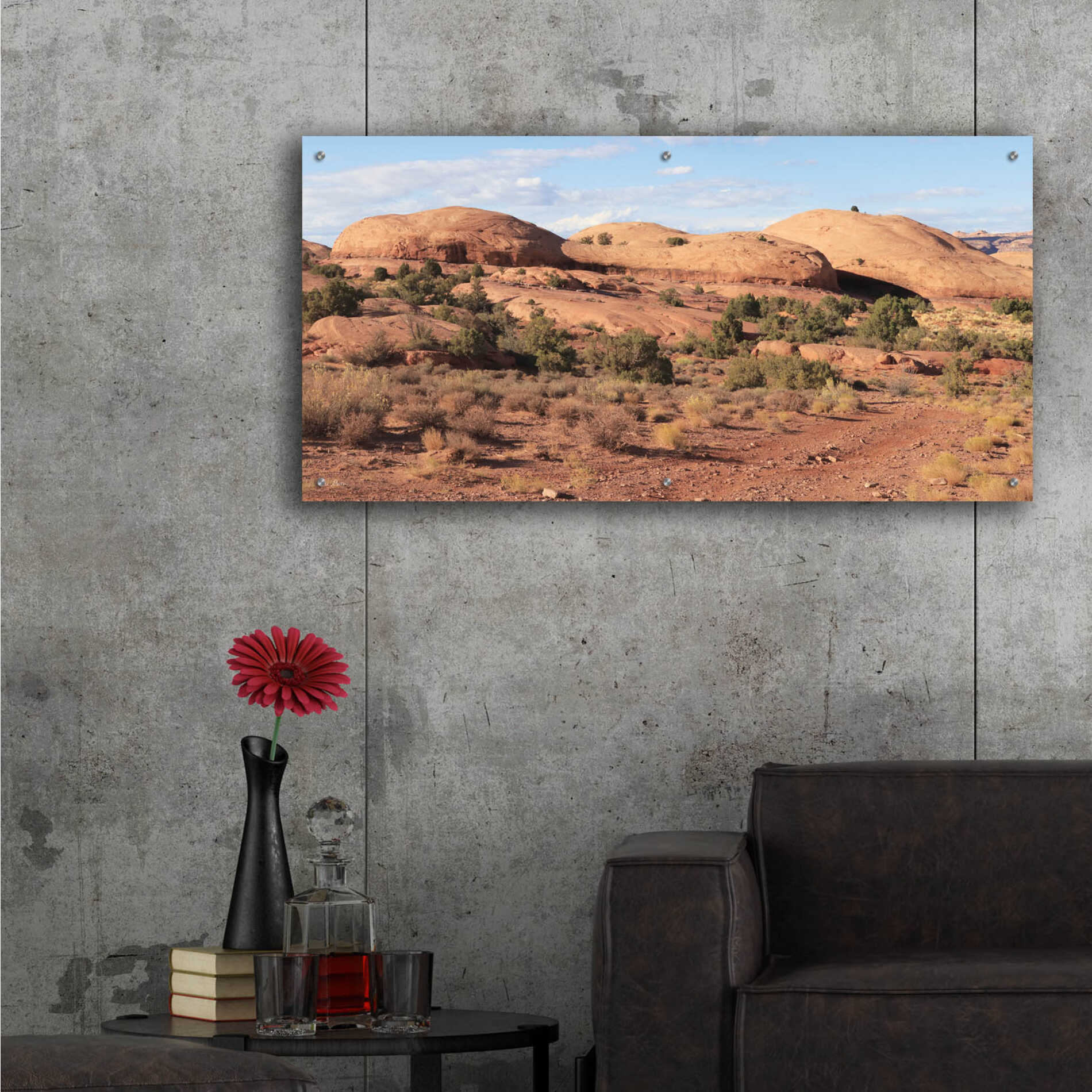 Epic Art 'Moab Sand Flats I' by Lori Deiter, Acrylic Glass Wall Art,48x24