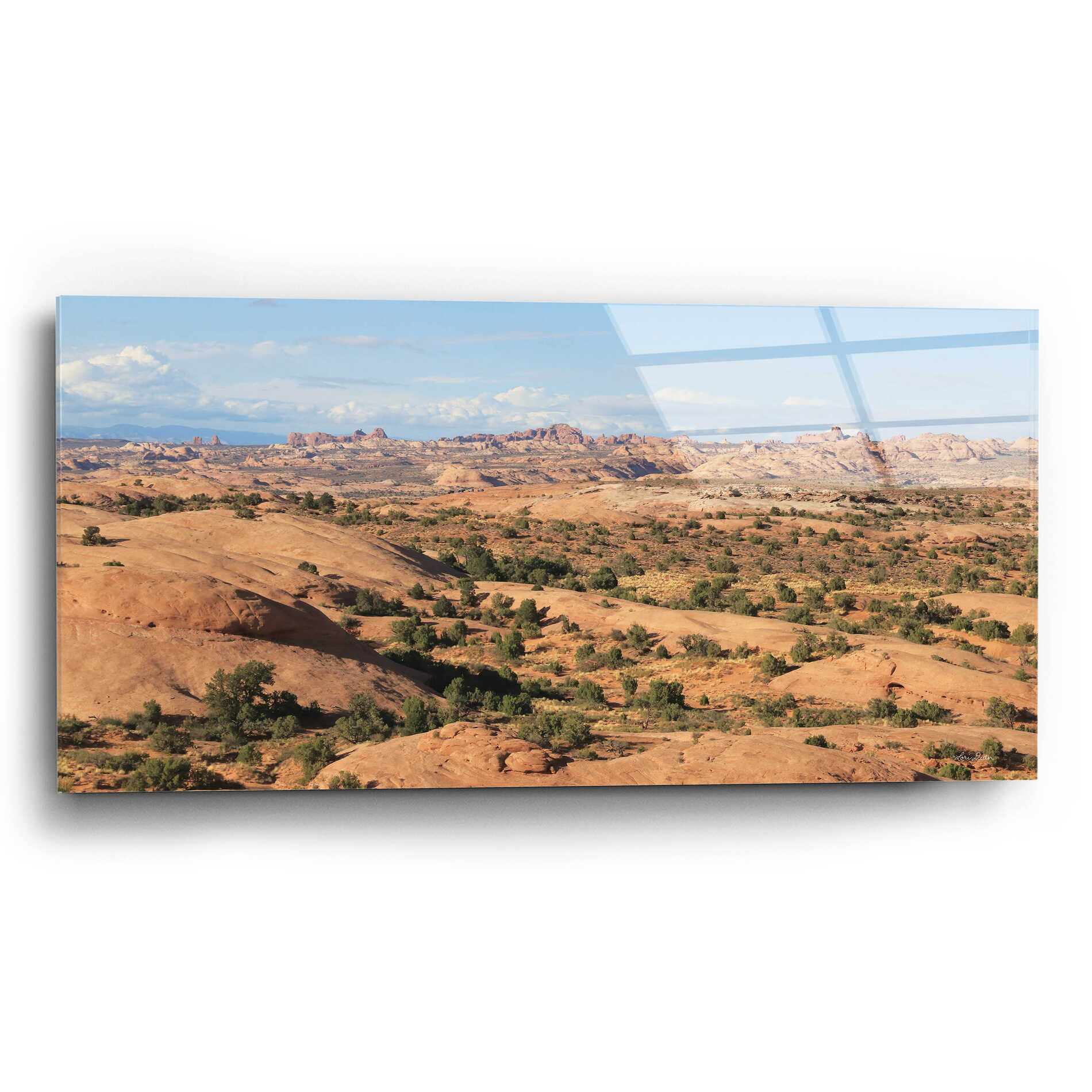 Epic Art 'Moab Sand Flats II' by Lori Deiter, Acrylic Glass Wall Art,24x12