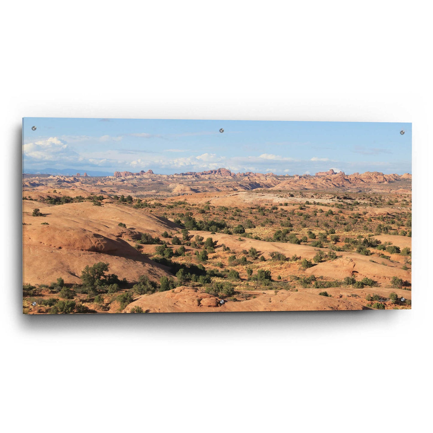 Epic Art 'Moab Sand Flats II' by Lori Deiter, Acrylic Glass Wall Art,48x24