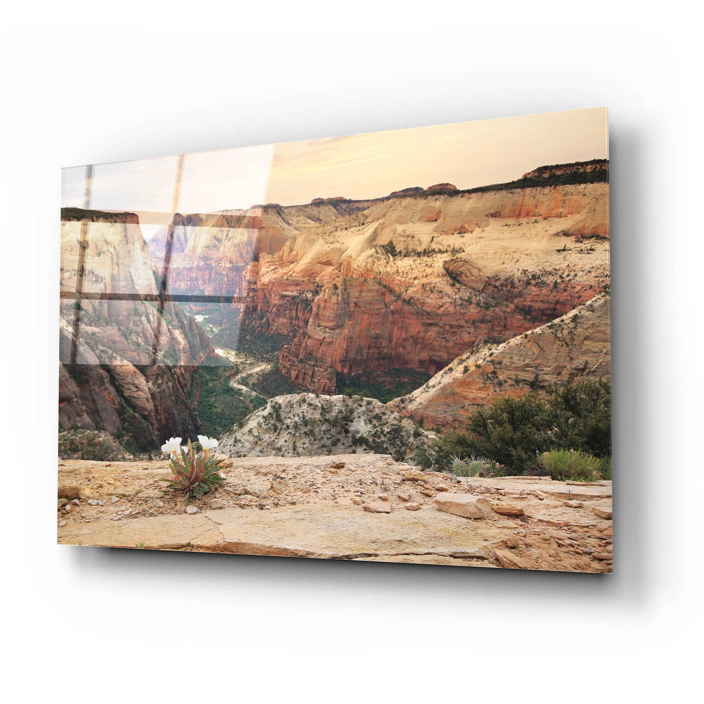 Epic Art 'Zion Desert Life' by Lori Deiter, Acrylic Glass Wall Art,24x16