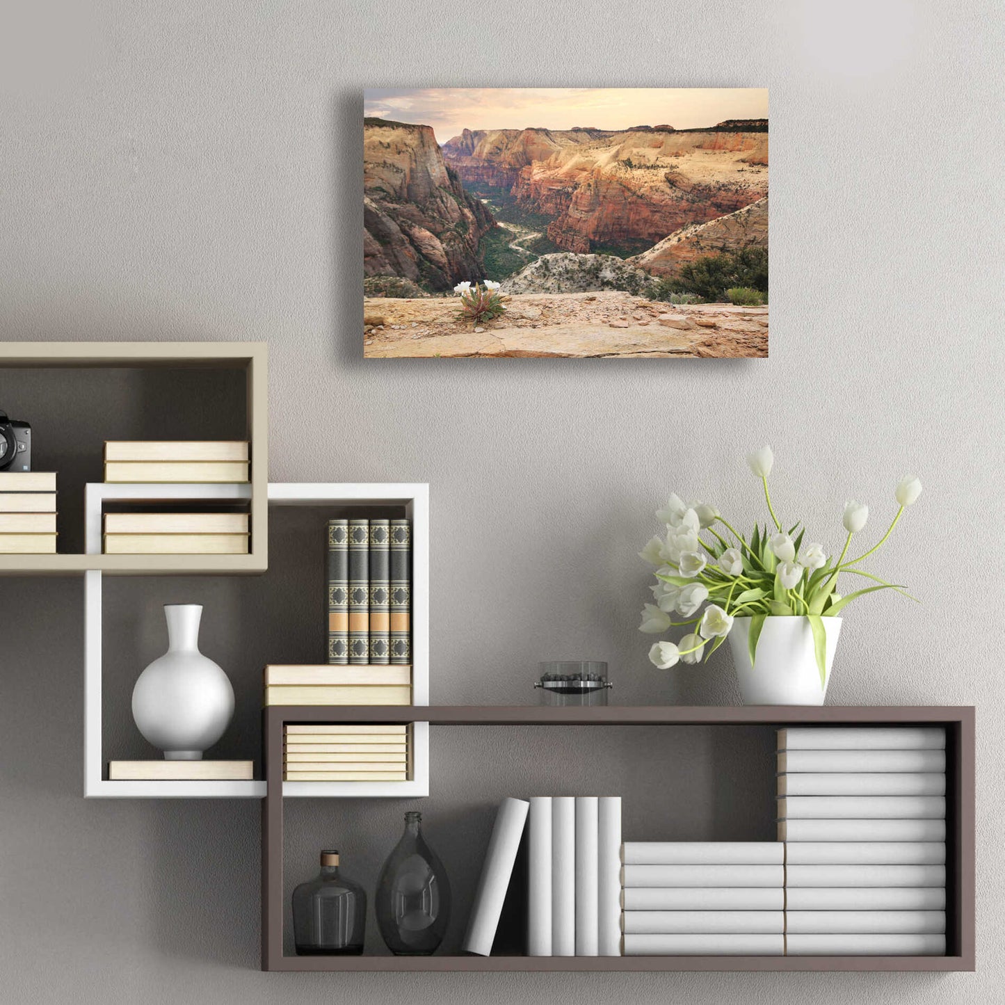 Epic Art 'Zion Desert Life' by Lori Deiter, Acrylic Glass Wall Art,24x16