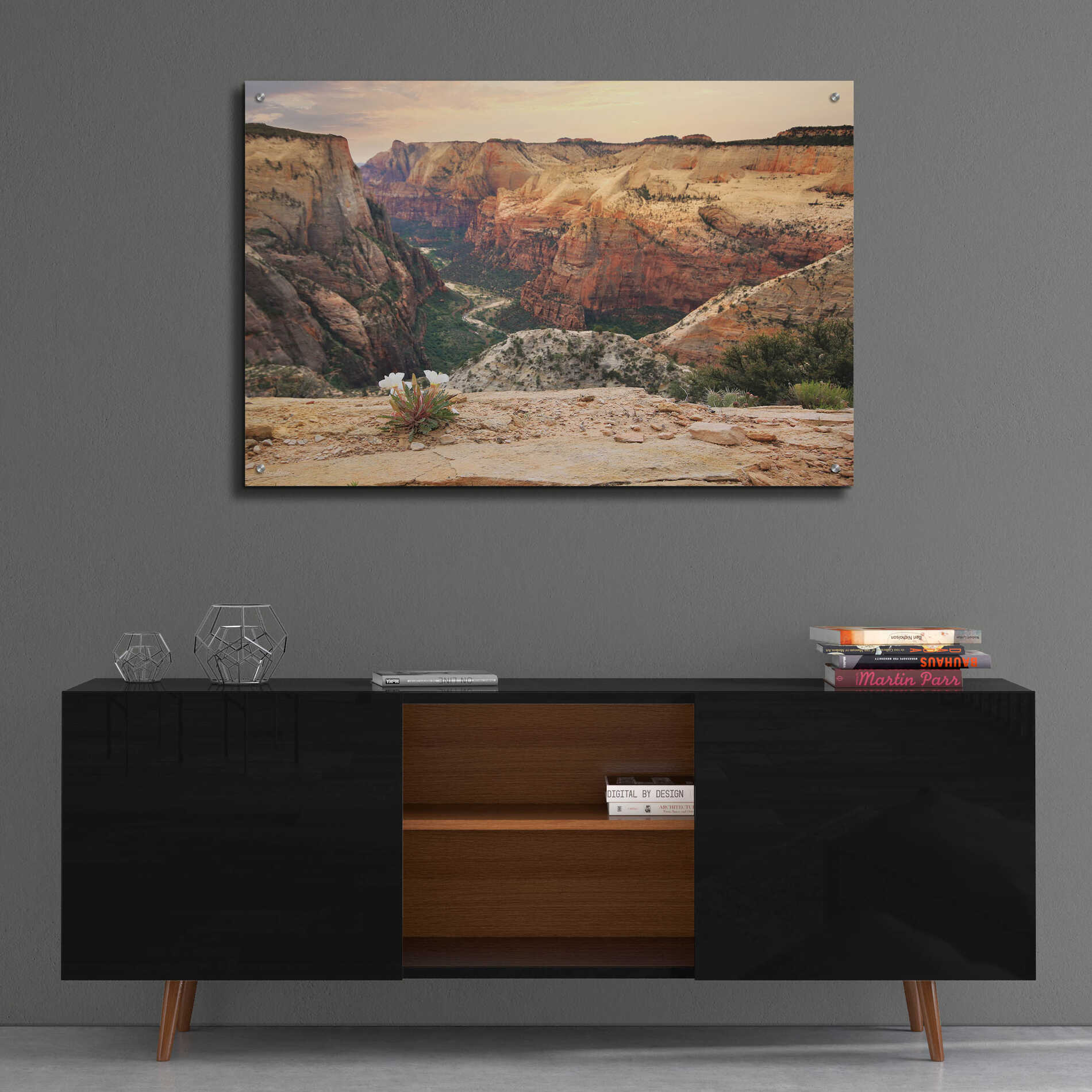 Epic Art 'Zion Desert Life' by Lori Deiter, Acrylic Glass Wall Art,36x24