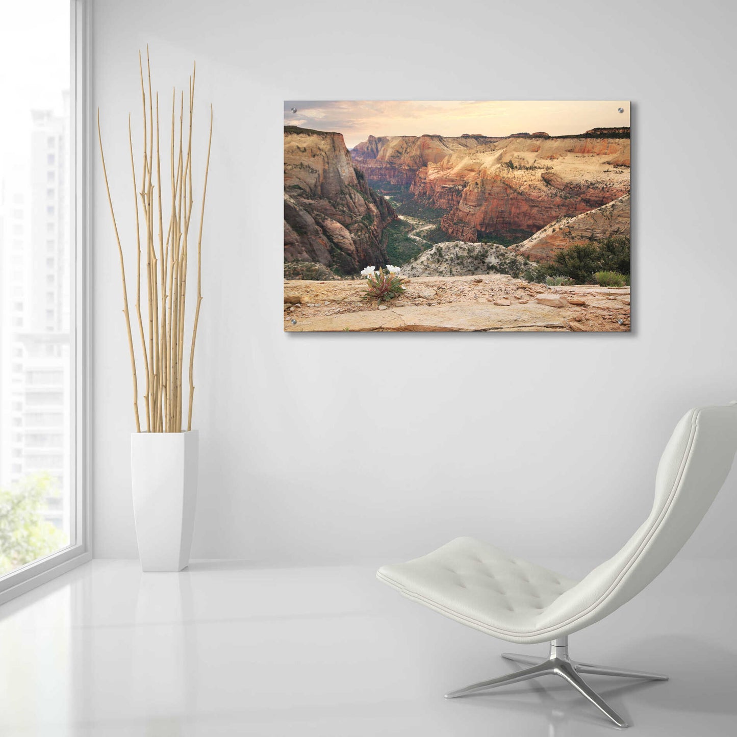 Epic Art 'Zion Desert Life' by Lori Deiter, Acrylic Glass Wall Art,36x24