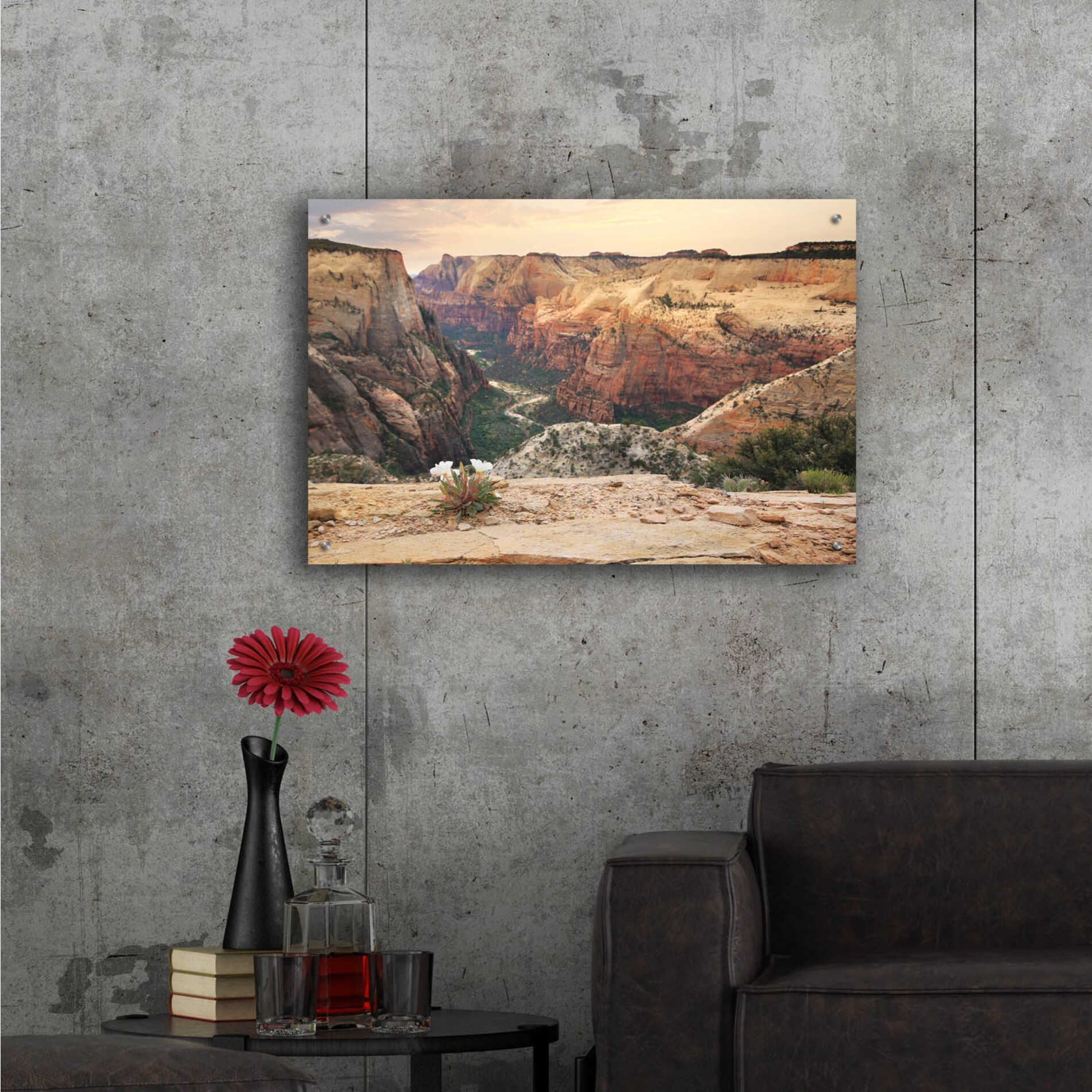 Epic Art 'Zion Desert Life' by Lori Deiter, Acrylic Glass Wall Art,36x24