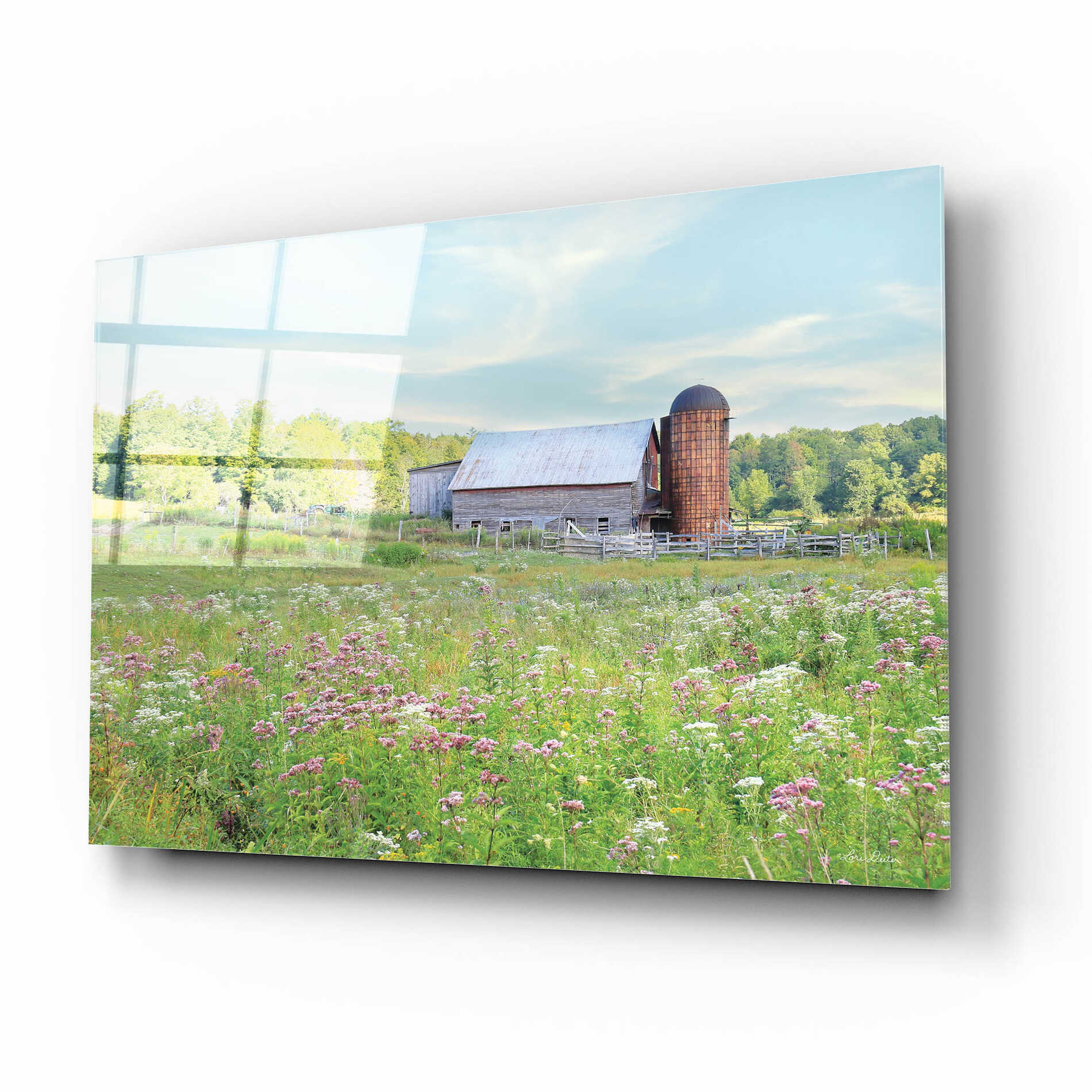 Epic Art 'Summer on the Farm' by Lori Deiter, Acrylic Glass Wall Art,16x12