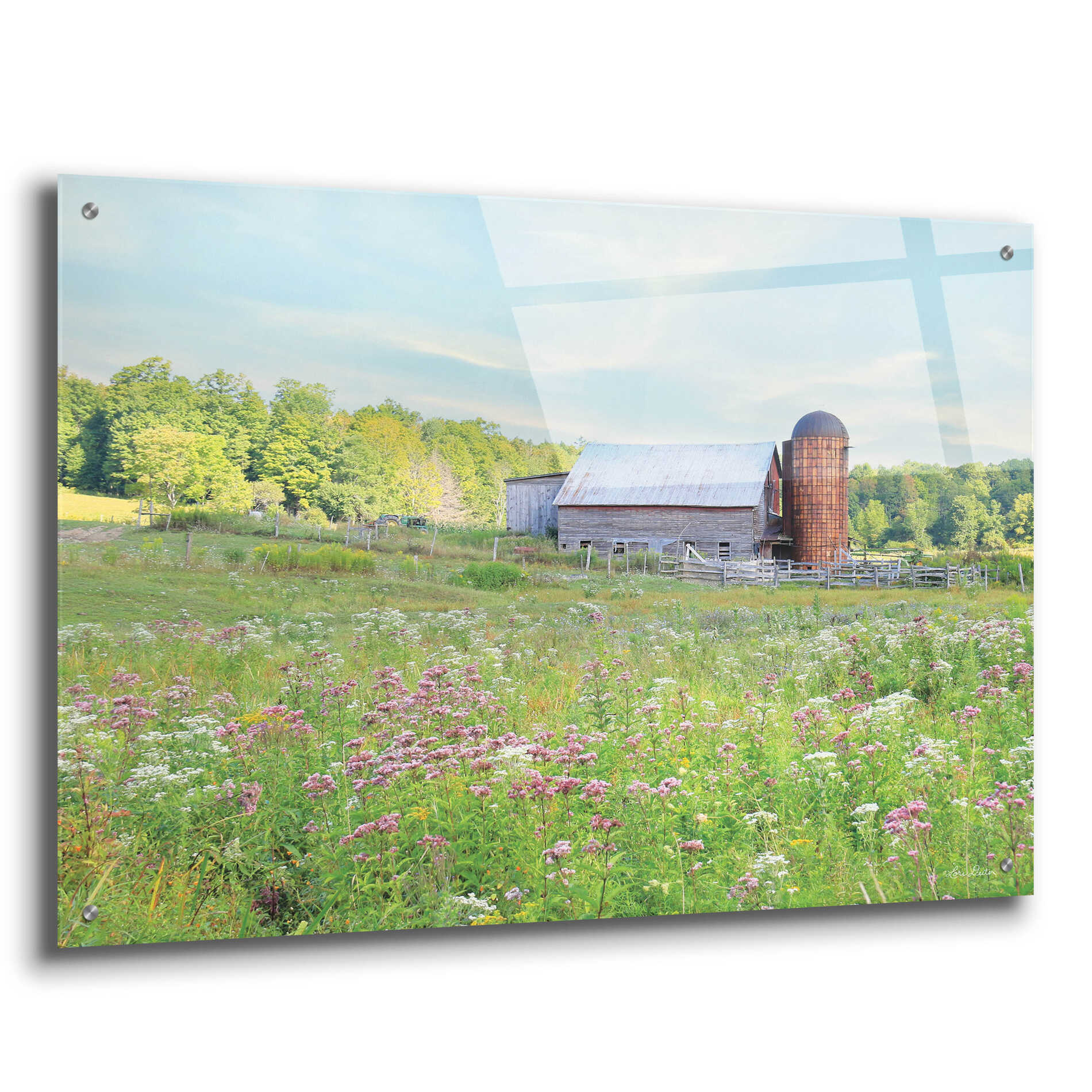 Epic Art 'Summer on the Farm' by Lori Deiter, Acrylic Glass Wall Art,36x24