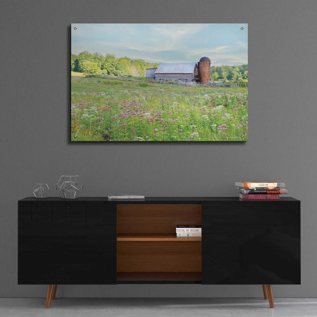 Epic Art 'Summer on the Farm' by Lori Deiter, Acrylic Glass Wall Art,36x24