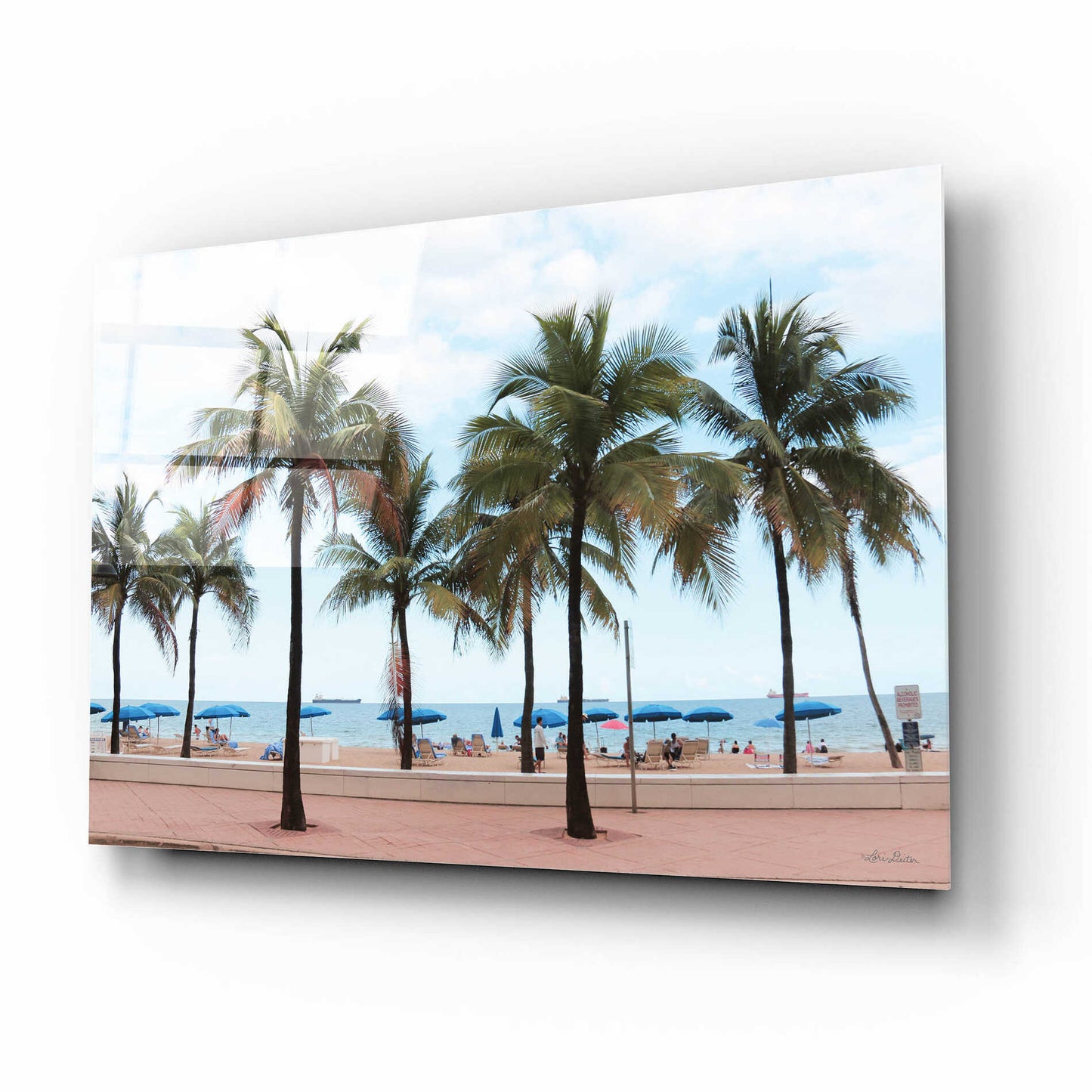 Epic Art 'Florida Palms' by Lori Deiter, Acrylic Glass Wall Art,16x12