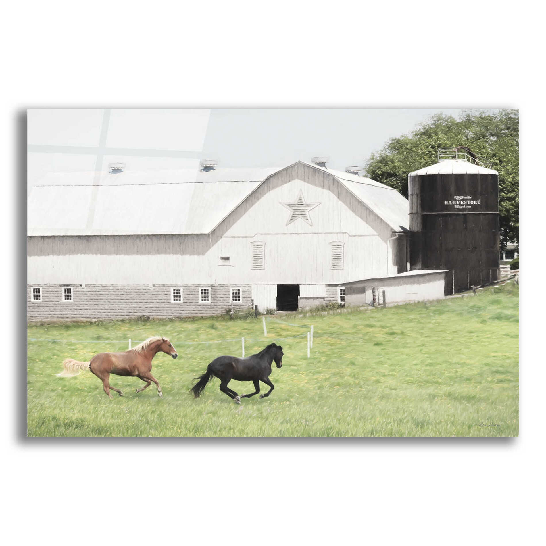 Epic Art 'Afternoon Run on the Farm' by Lori Deiter, Acrylic Glass Wall Art,16x12