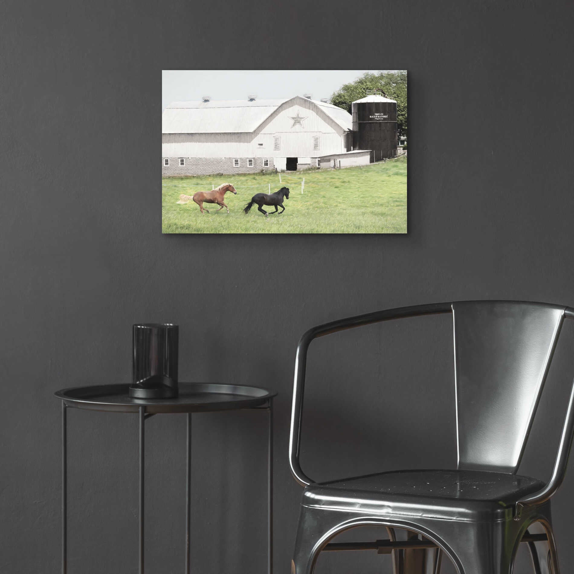 Epic Art 'Afternoon Run on the Farm' by Lori Deiter, Acrylic Glass Wall Art,24x16