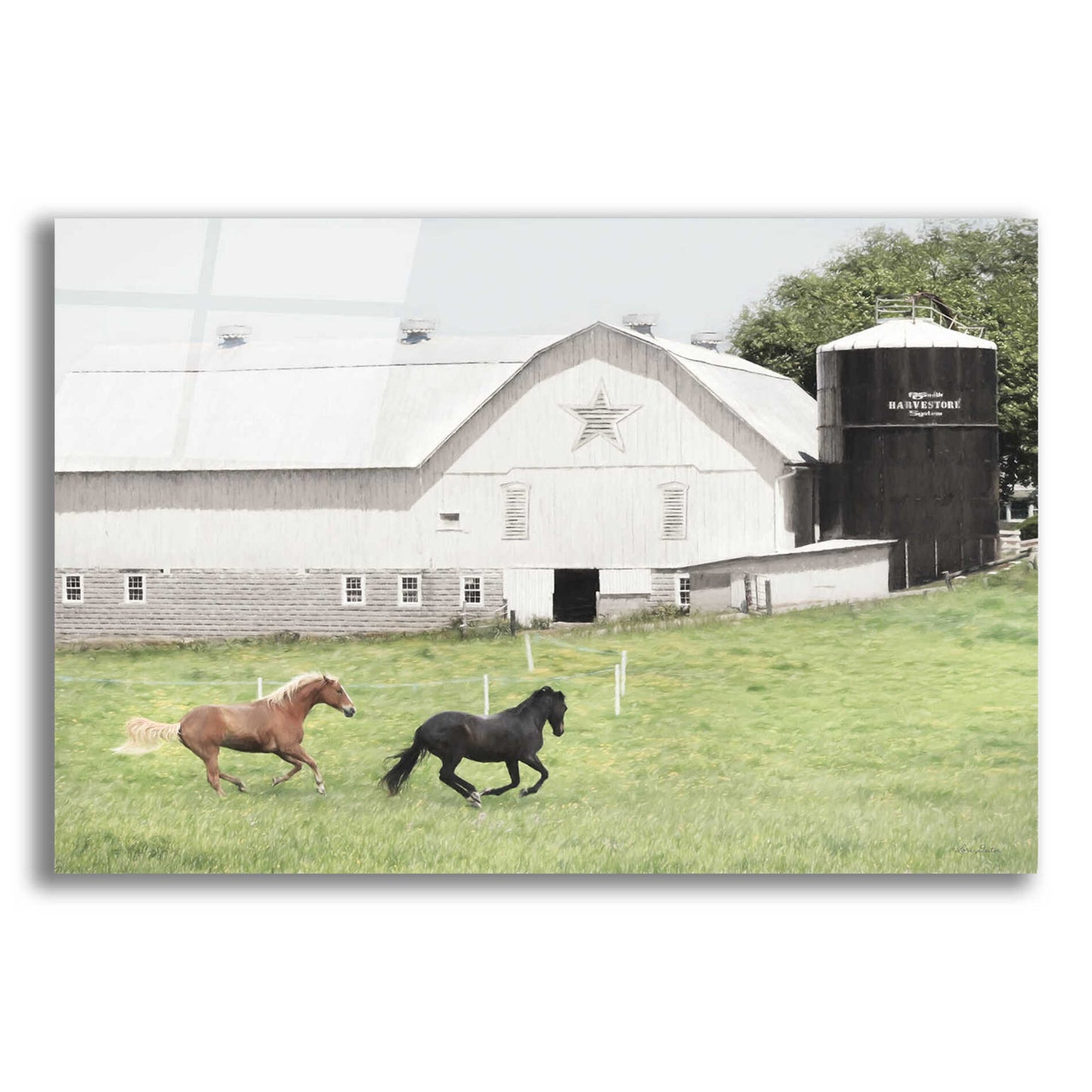 Epic Art 'Afternoon Run on the Farm' by Lori Deiter, Acrylic Glass Wall Art,24x16