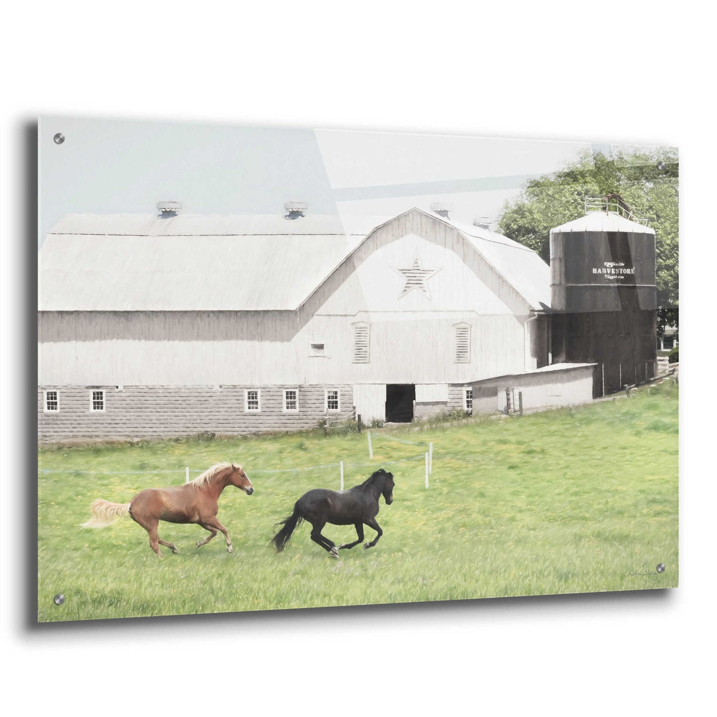 Epic Art 'Afternoon Run on the Farm' by Lori Deiter, Acrylic Glass Wall Art,36x24