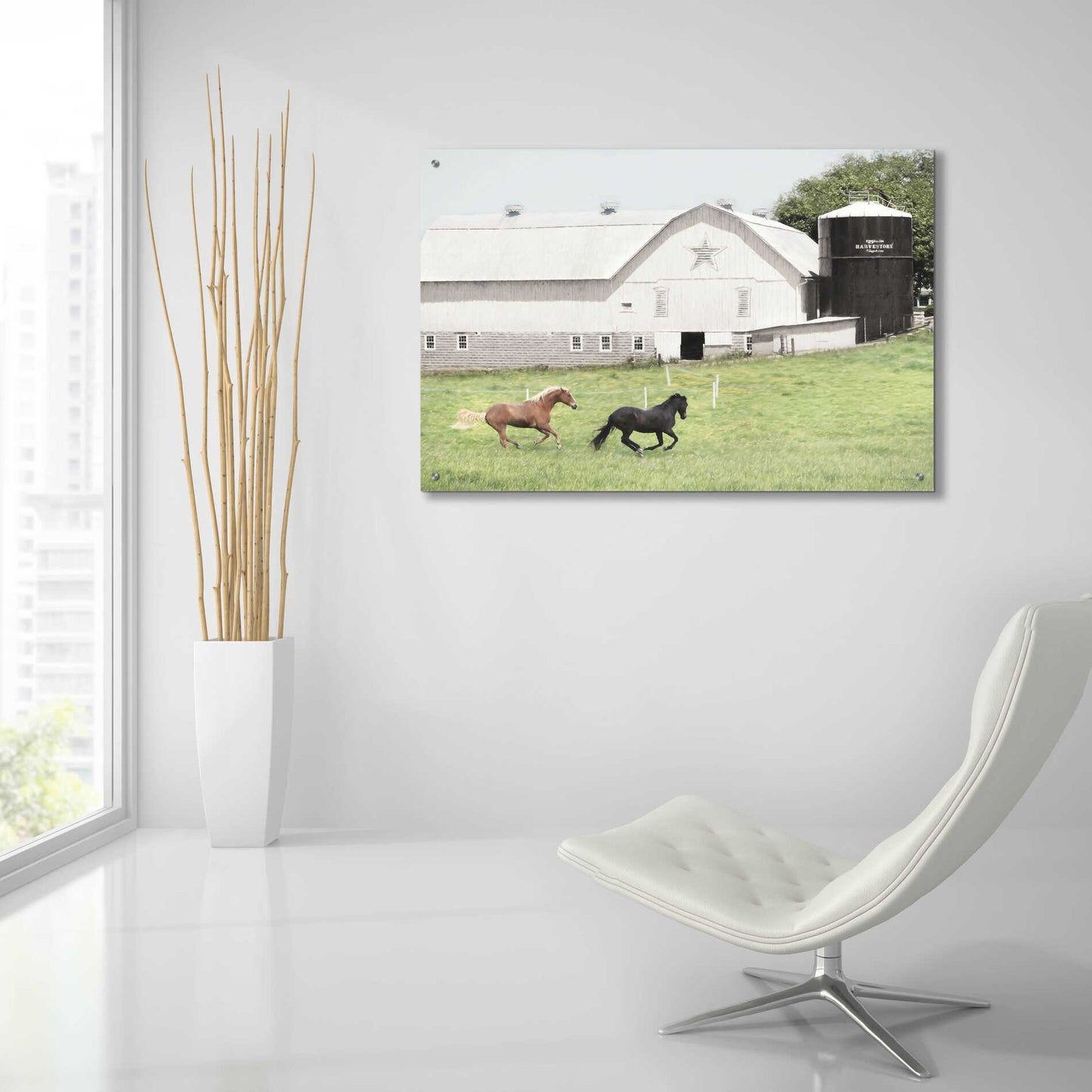 Epic Art 'Afternoon Run on the Farm' by Lori Deiter, Acrylic Glass Wall Art,36x24