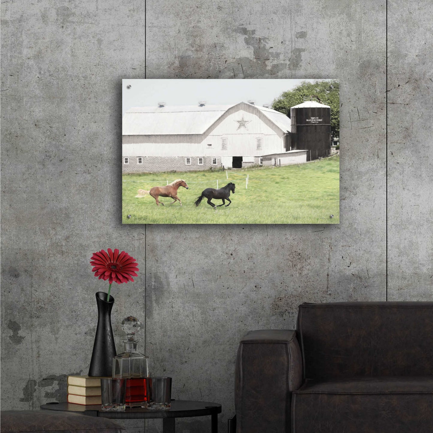 Epic Art 'Afternoon Run on the Farm' by Lori Deiter, Acrylic Glass Wall Art,36x24