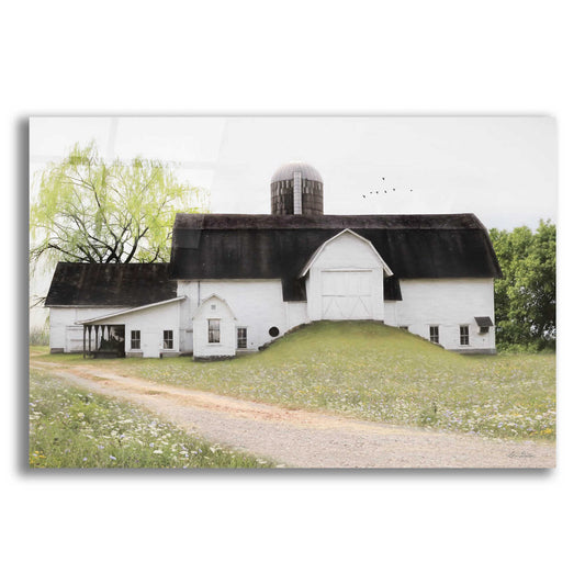 Epic Art 'Big Country Barn' by Lori Deiter, Acrylic Glass Wall Art