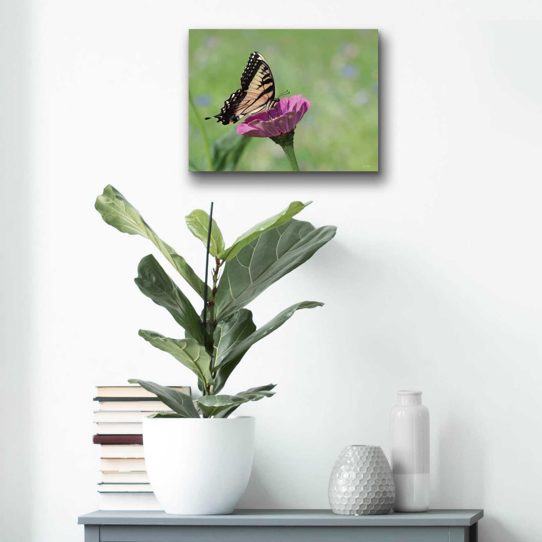 Epic Art 'Butterfly Resting Spot I' by Lori Deiter, Acrylic Glass Wall Art,16x12