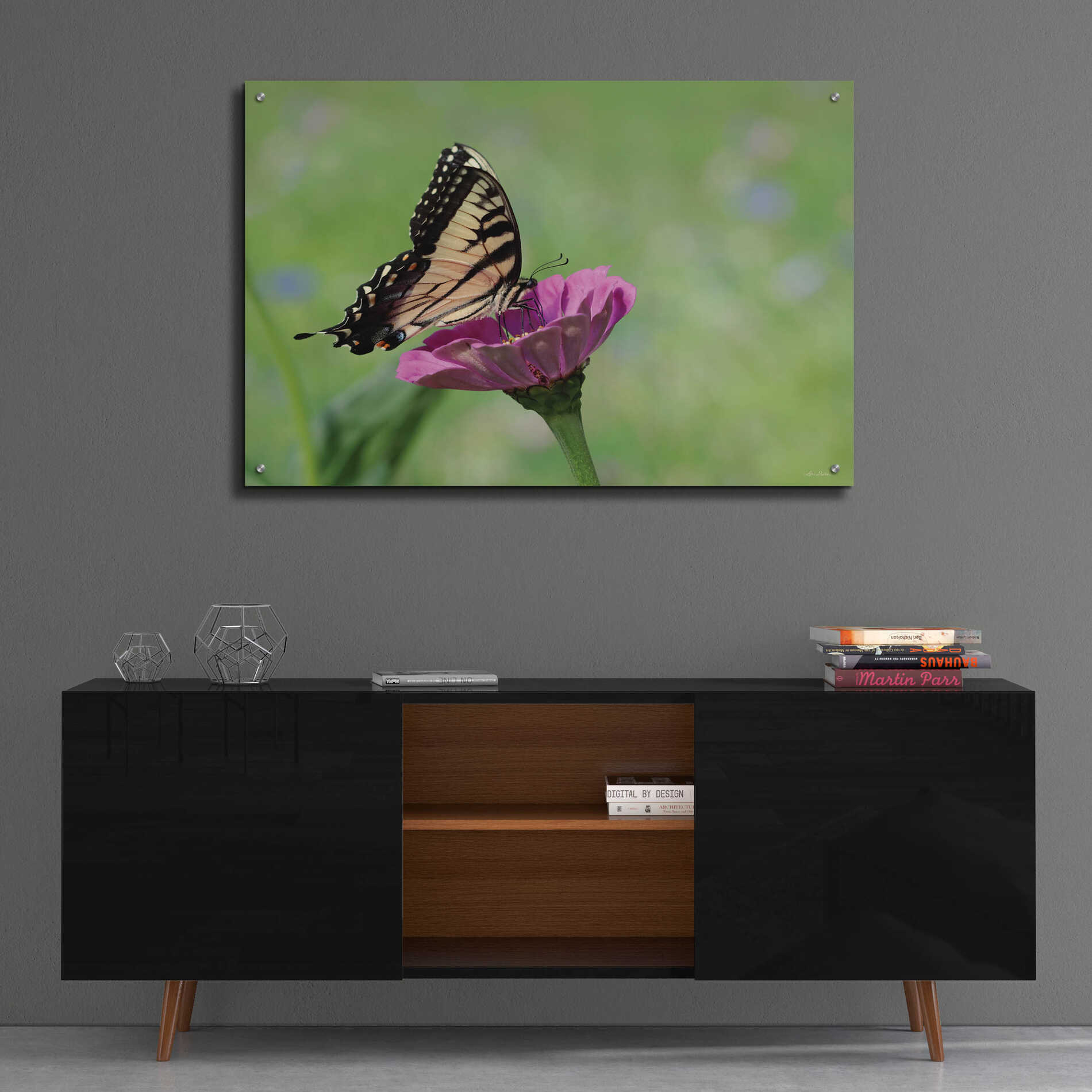 Epic Art 'Butterfly Resting Spot I' by Lori Deiter, Acrylic Glass Wall Art,36x24