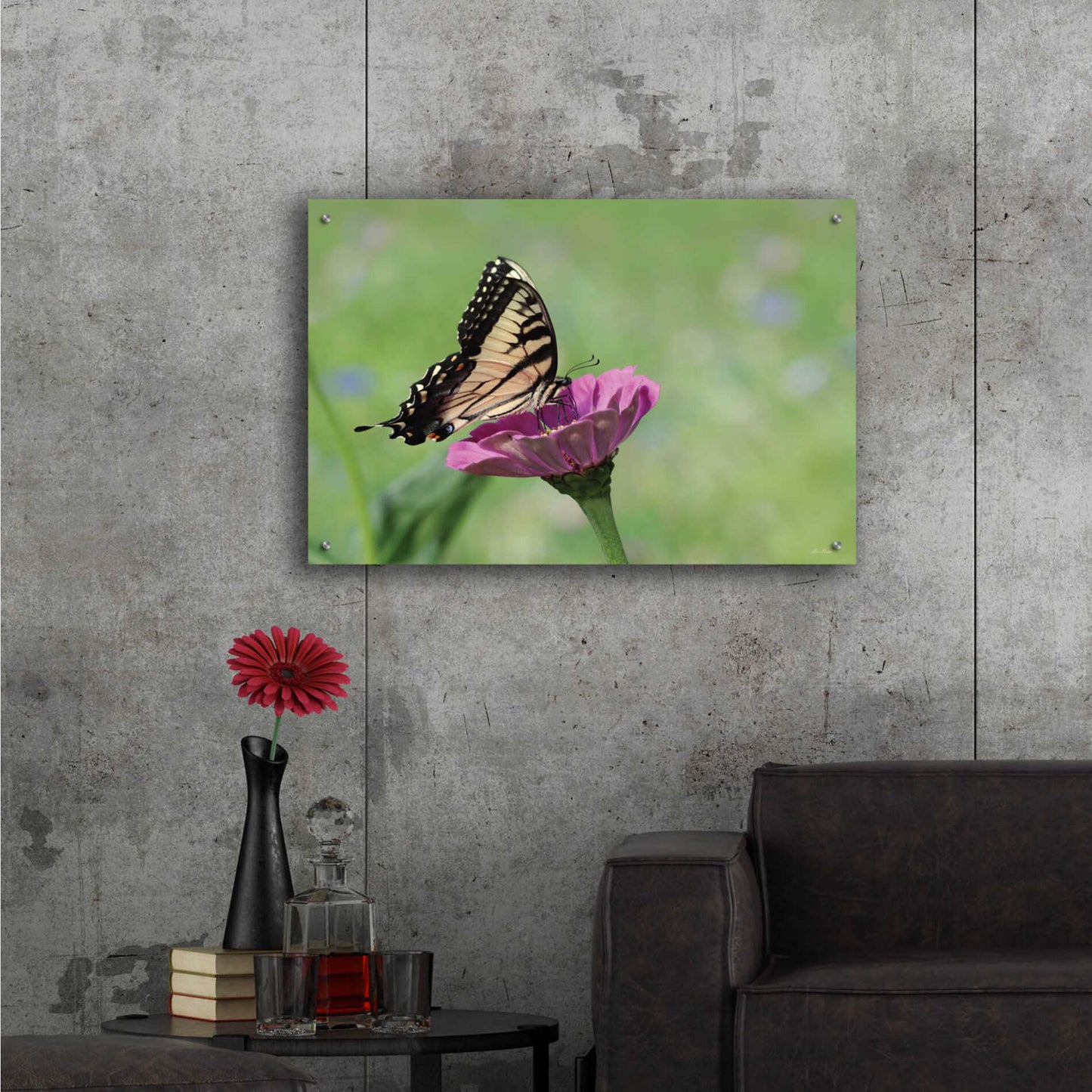 Epic Art 'Butterfly Resting Spot I' by Lori Deiter, Acrylic Glass Wall Art,36x24