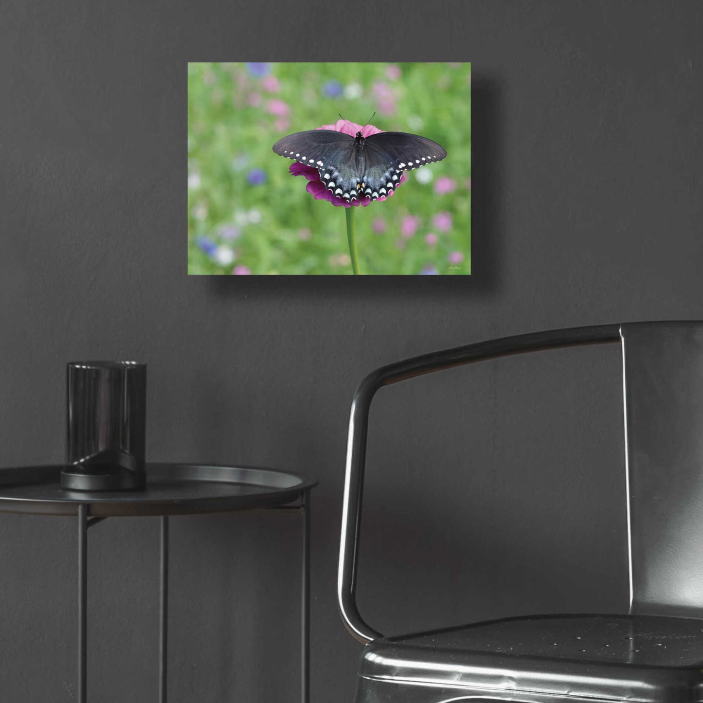 Epic Art 'Butterfly Resting Spot II' by Lori Deiter, Acrylic Glass Wall Art,16x12