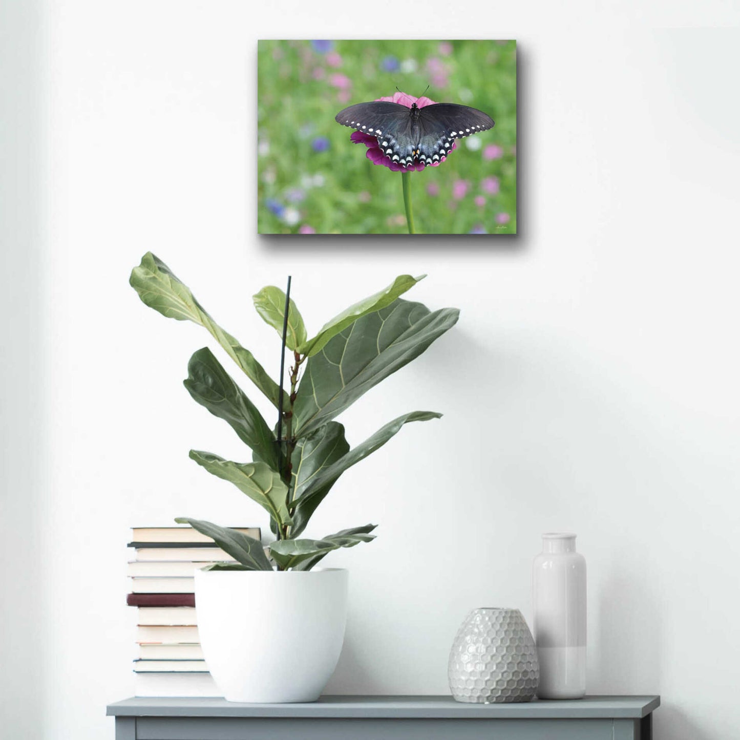 Epic Art 'Butterfly Resting Spot II' by Lori Deiter, Acrylic Glass Wall Art,16x12