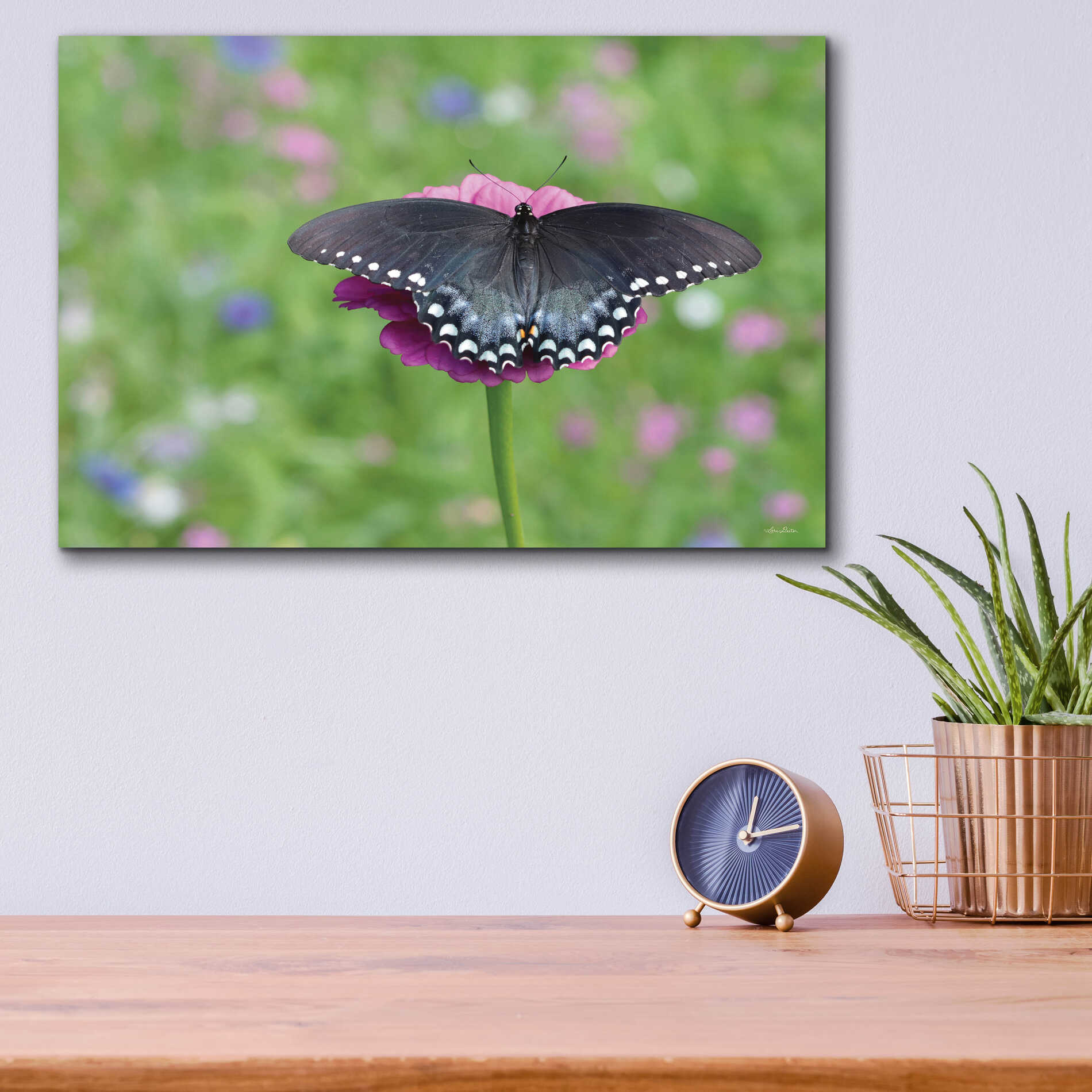 Epic Art 'Butterfly Resting Spot II' by Lori Deiter, Acrylic Glass Wall Art,16x12