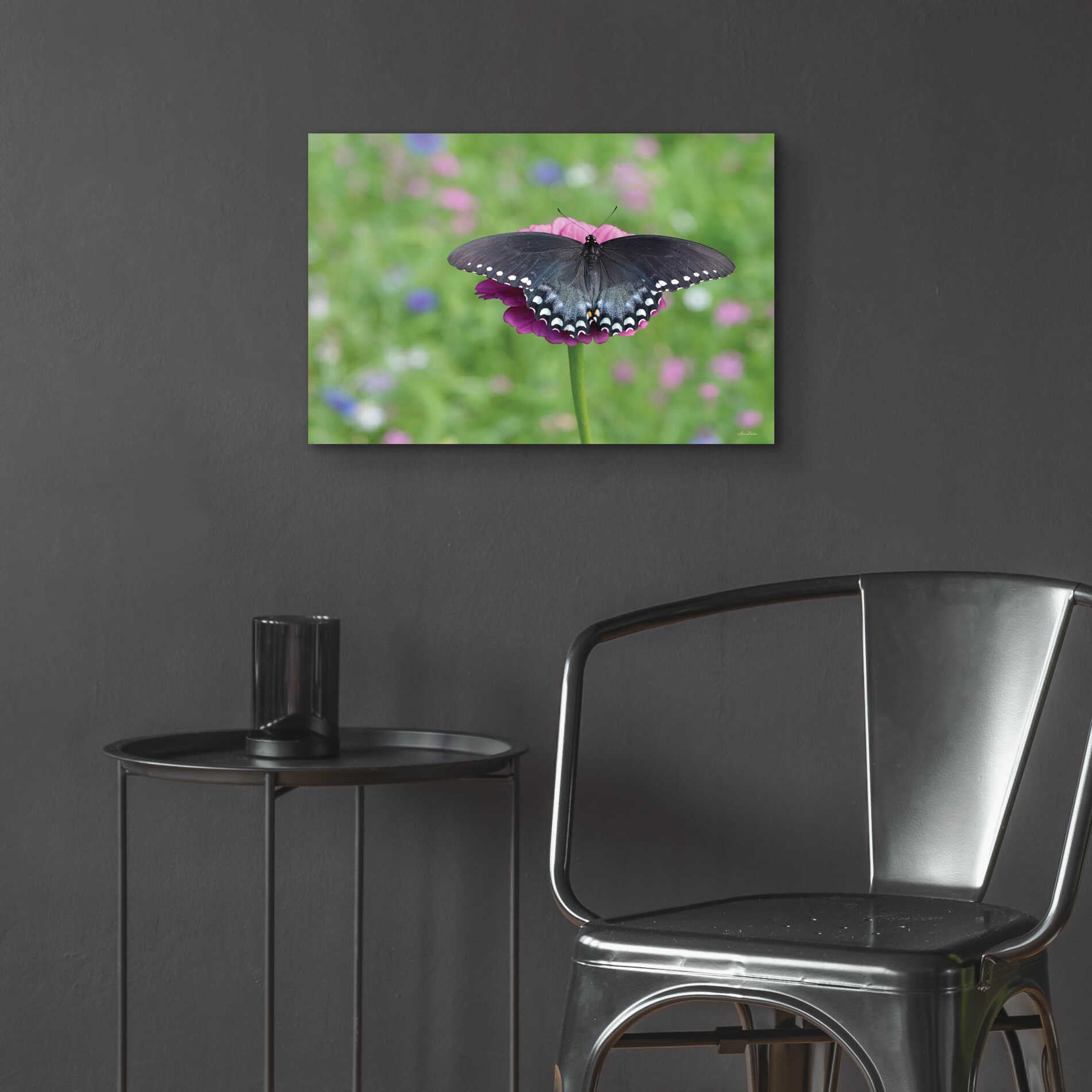 Epic Art 'Butterfly Resting Spot II' by Lori Deiter, Acrylic Glass Wall Art,24x16