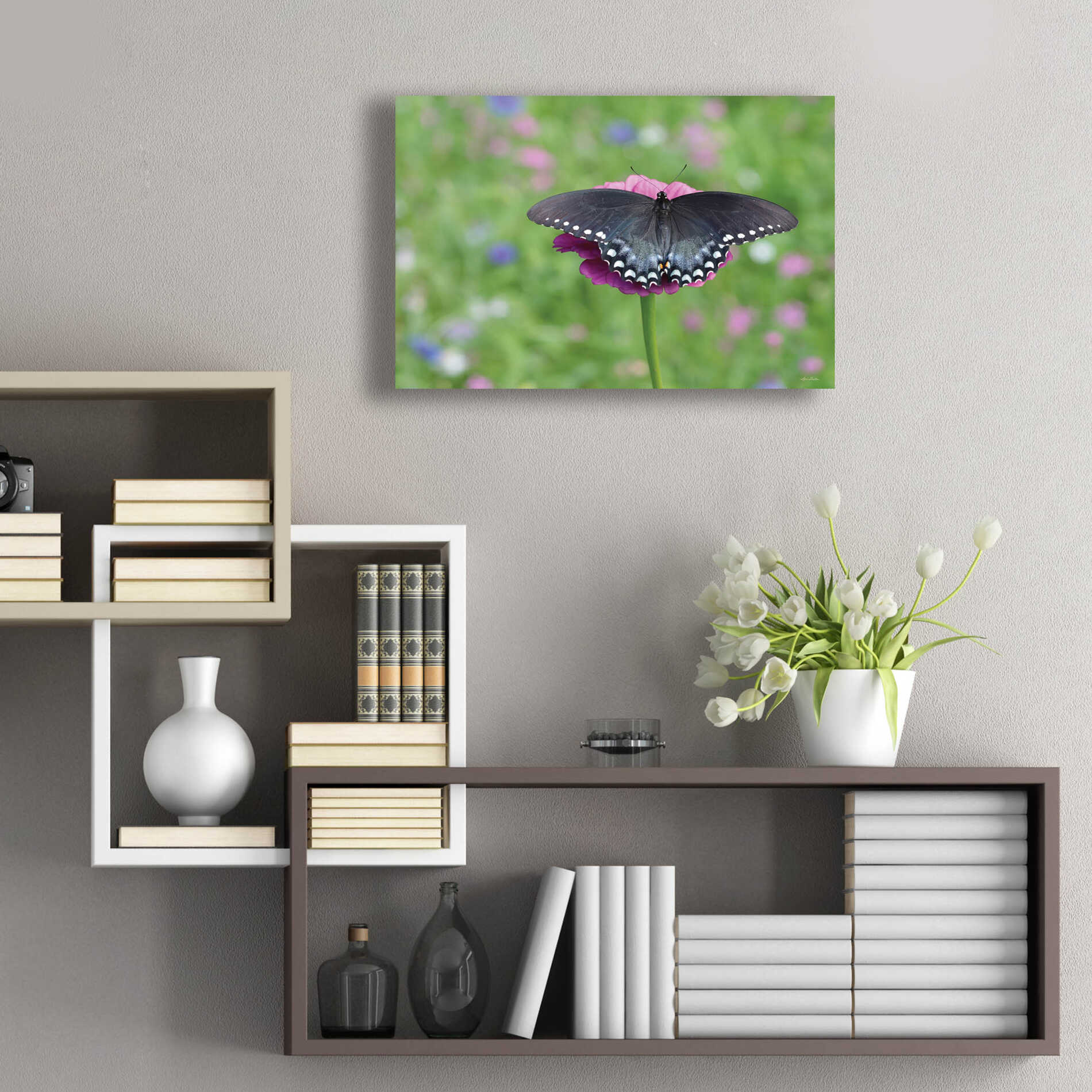 Epic Art 'Butterfly Resting Spot II' by Lori Deiter, Acrylic Glass Wall Art,24x16