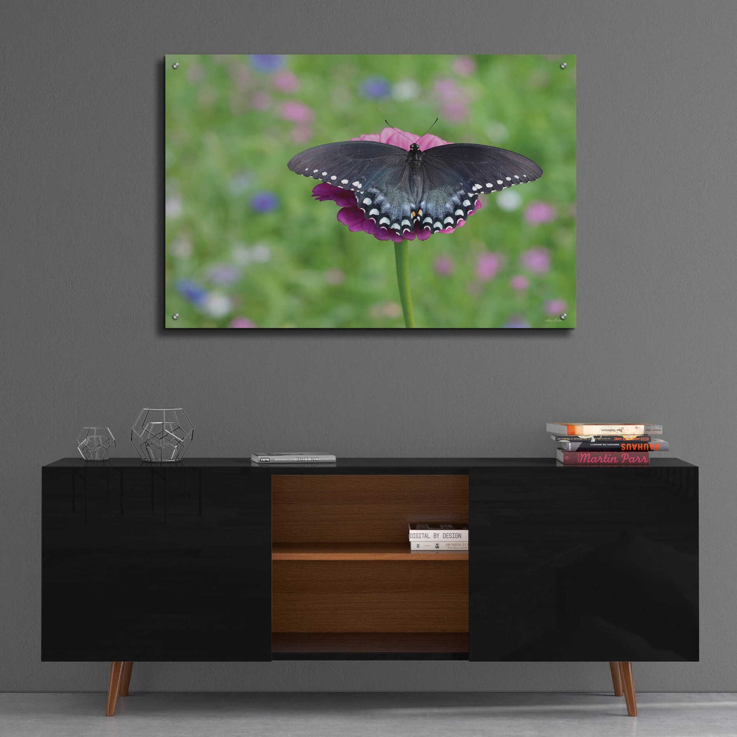 Epic Art 'Butterfly Resting Spot II' by Lori Deiter, Acrylic Glass Wall Art,36x24