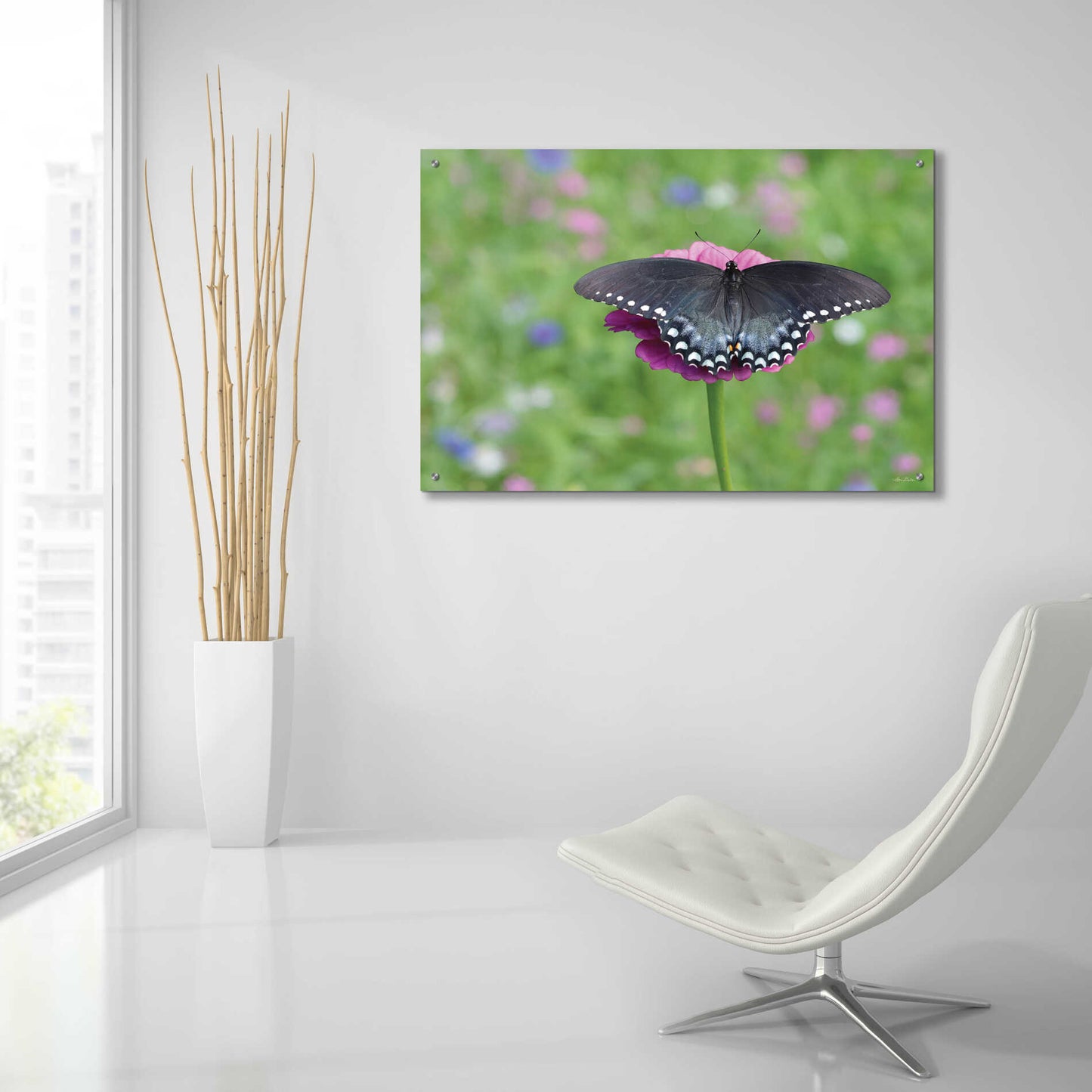 Epic Art 'Butterfly Resting Spot II' by Lori Deiter, Acrylic Glass Wall Art,36x24