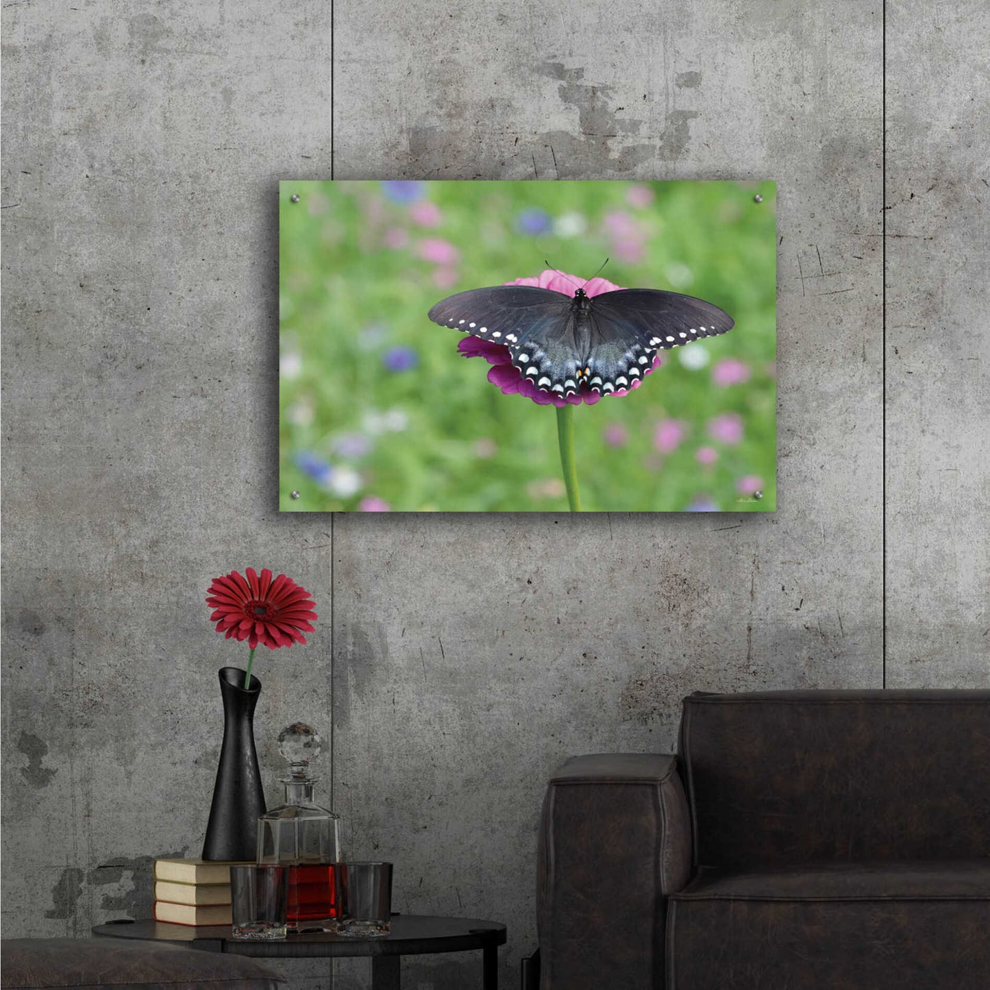 Epic Art 'Butterfly Resting Spot II' by Lori Deiter, Acrylic Glass Wall Art,36x24