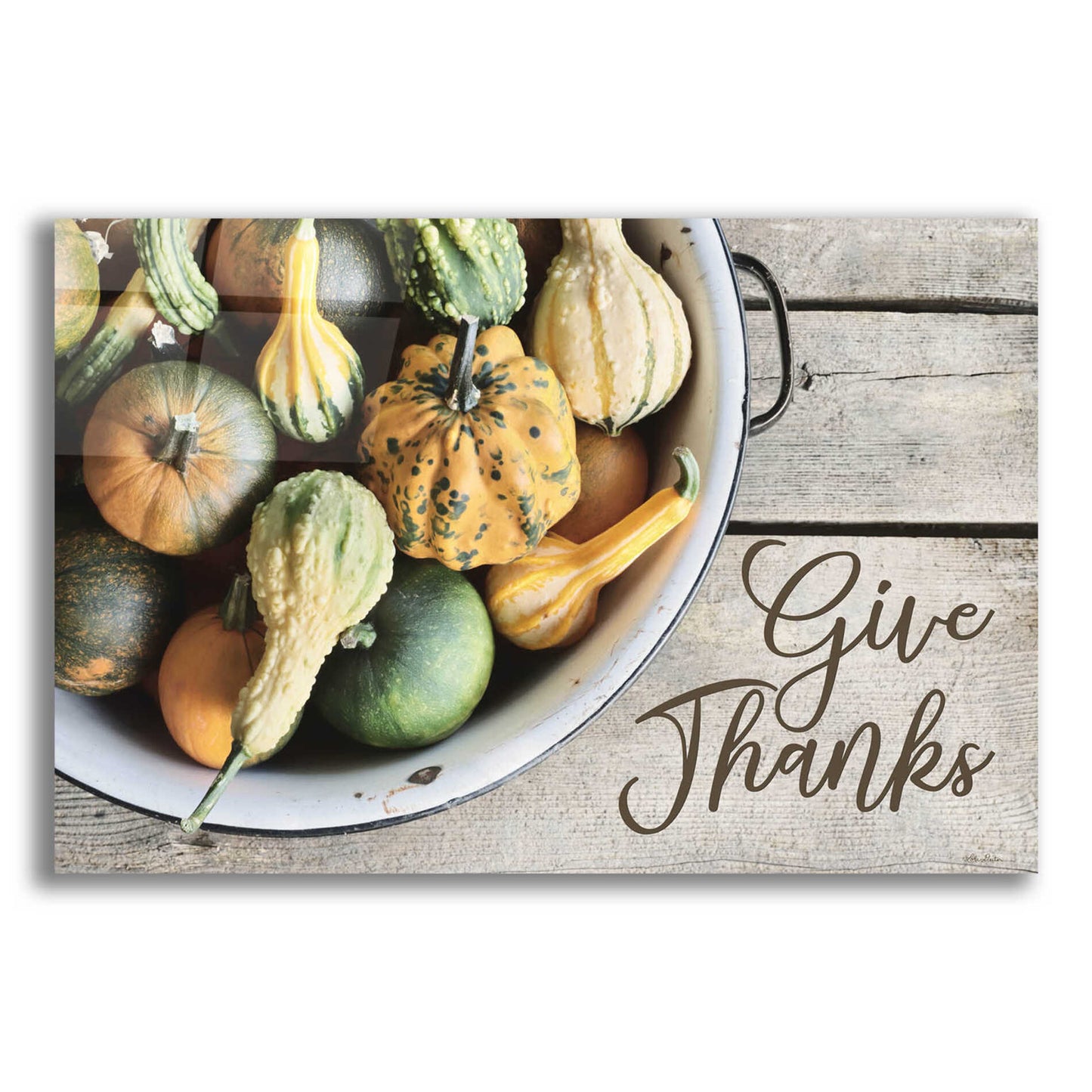 Epic Art 'Give Thanks' by Lori Deiter, Acrylic Glass Wall Art,24x16