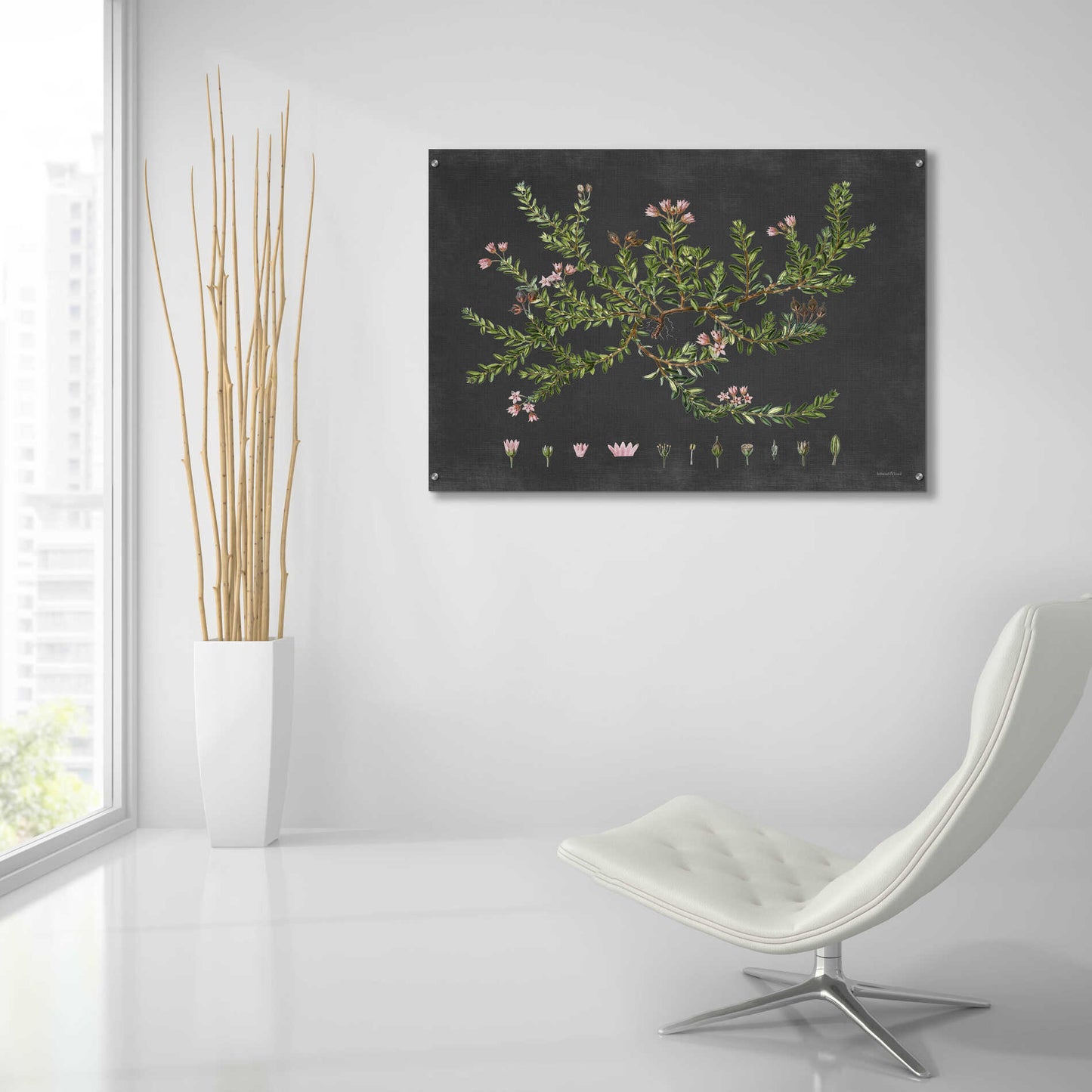 Epic Art 'Alpine Azalea' by lettered & lined, Acrylic Glass Wall Art,36x24