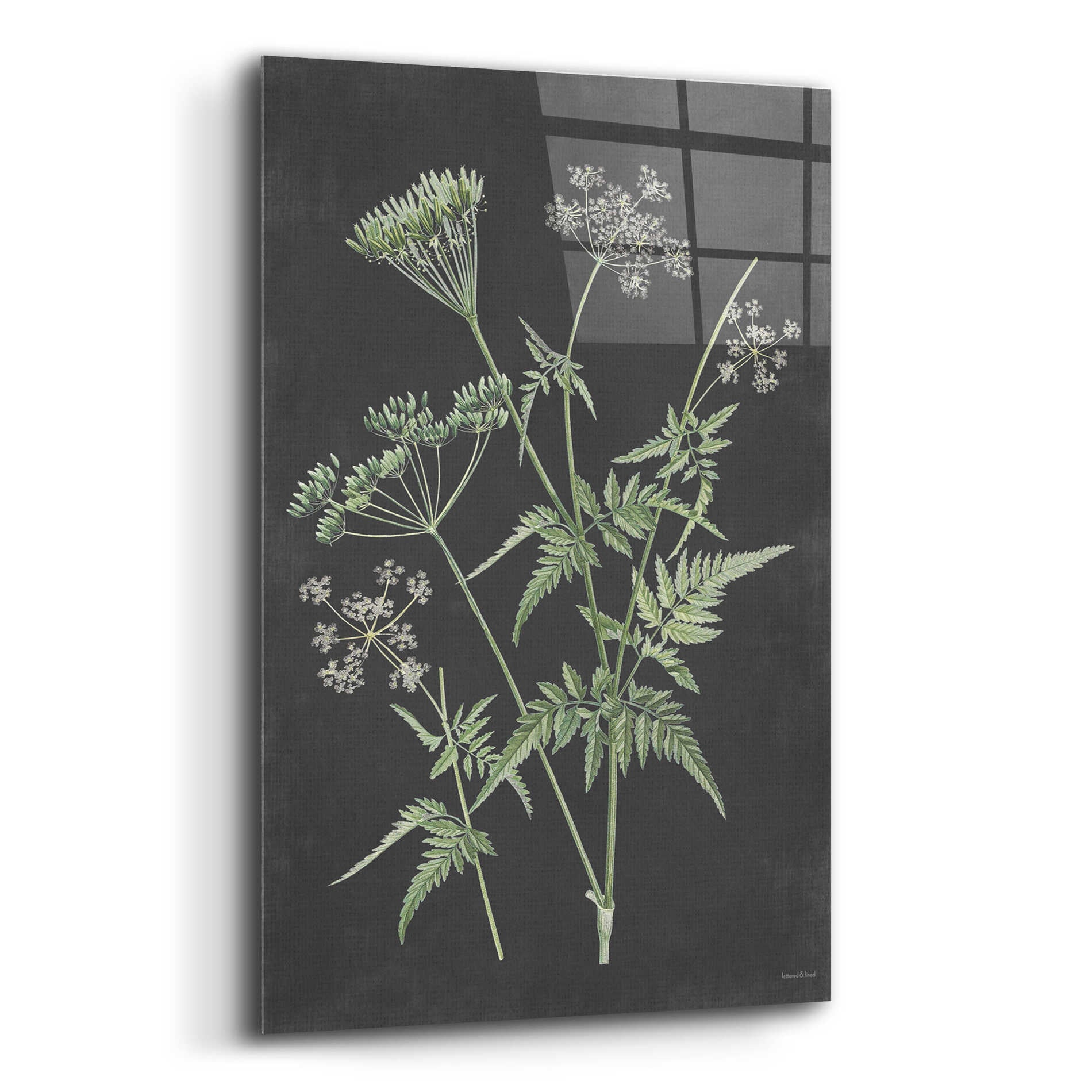 Epic Art 'Chives' by lettered & lined, Acrylic Glass Wall Art,12x16