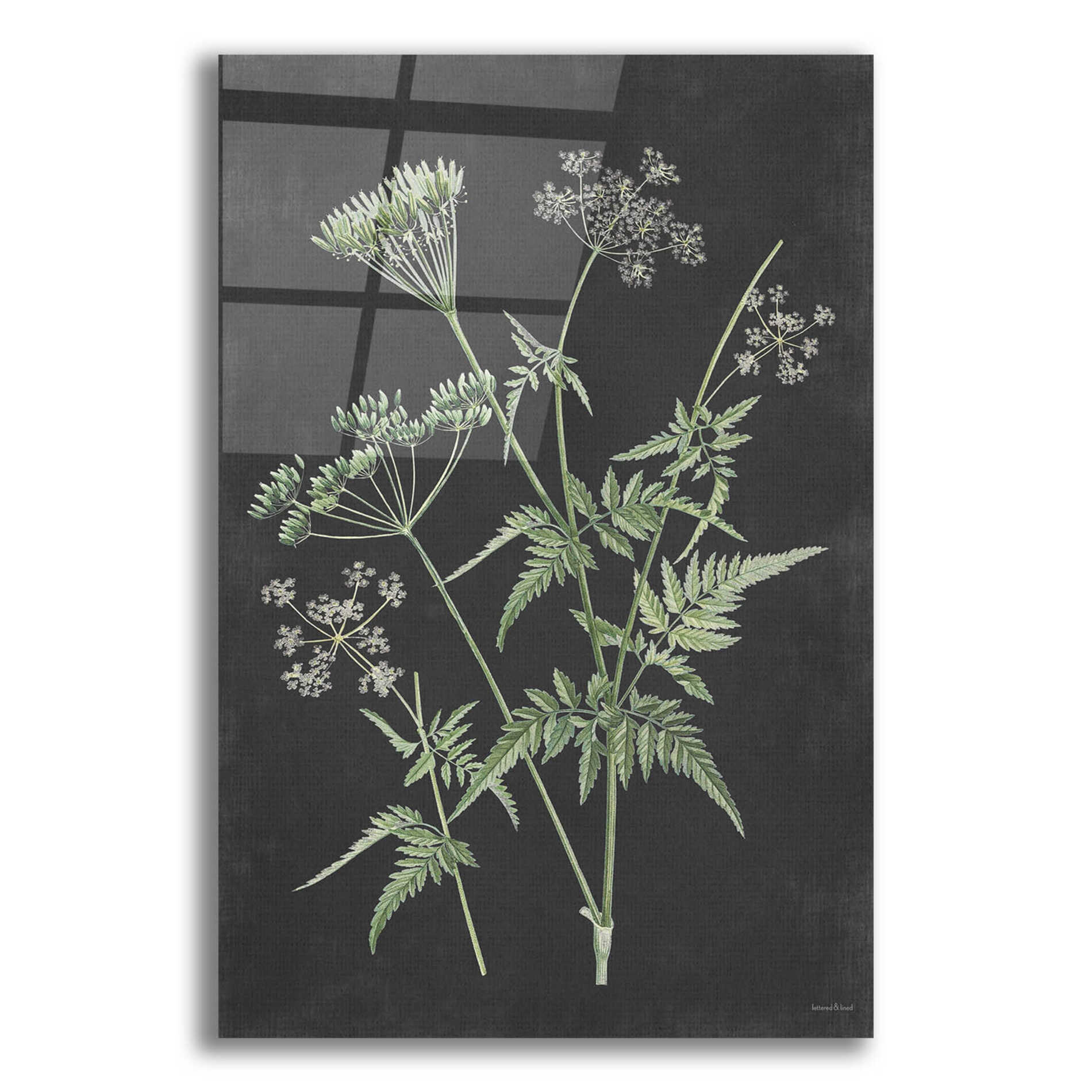 Epic Art 'Chives' by lettered & lined, Acrylic Glass Wall Art,12x16