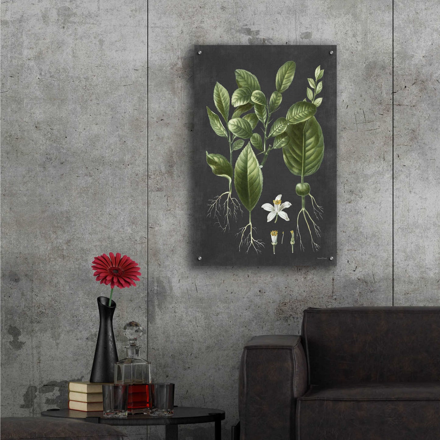 Epic Art 'Citrus Botanical' by lettered & lined, Acrylic Glass Wall Art,24x36