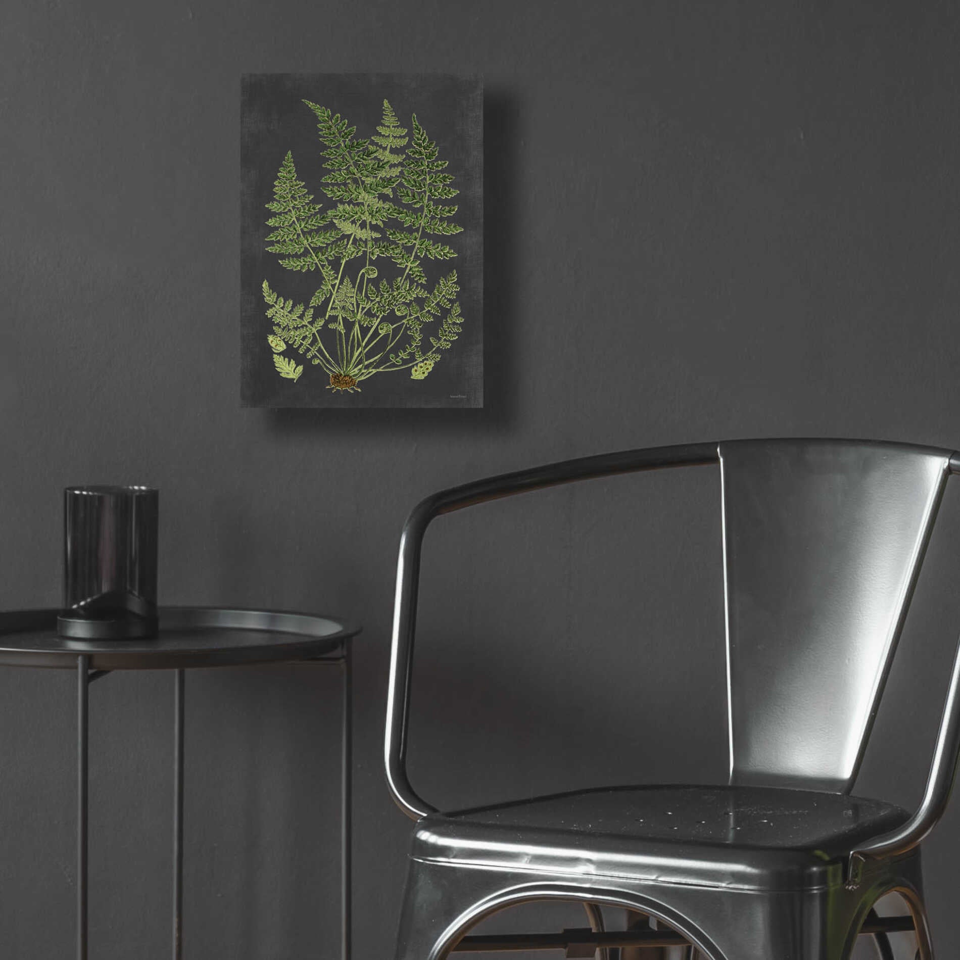 Epic Art 'Fern Study' by lettered & lined, Acrylic Glass Wall Art,12x16