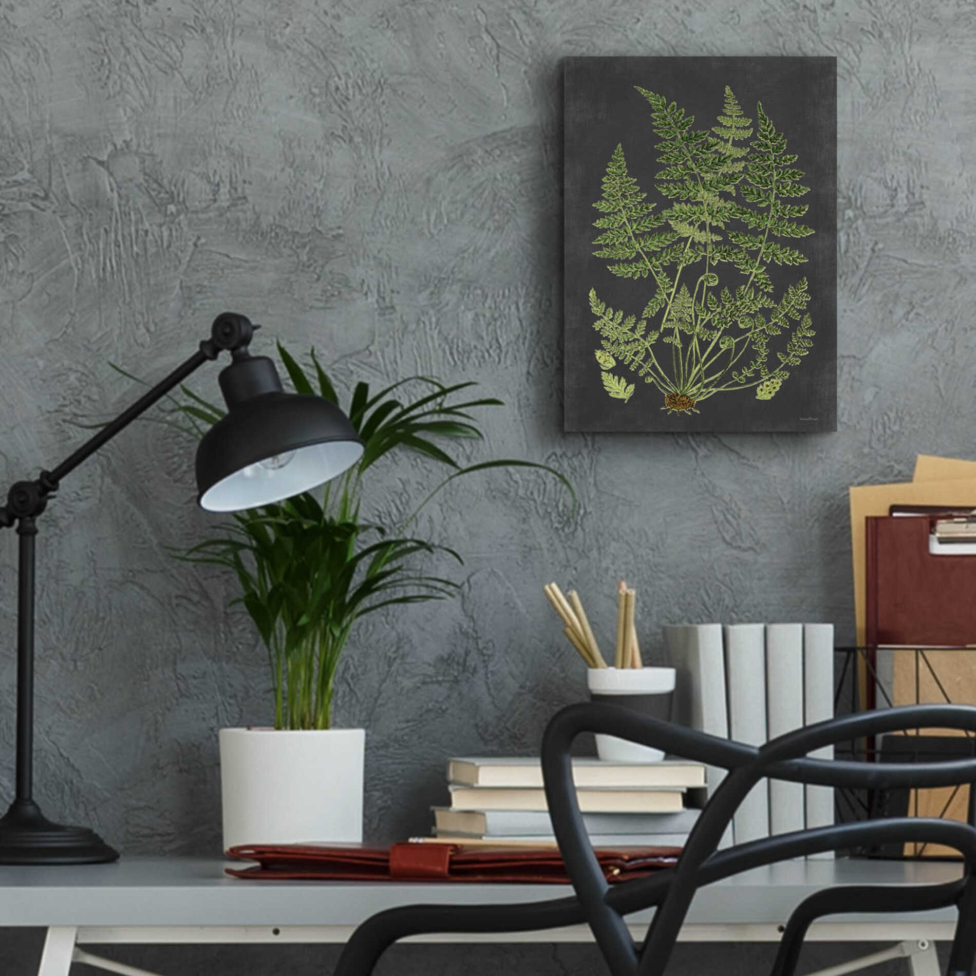 Epic Art 'Fern Study' by lettered & lined, Acrylic Glass Wall Art,12x16