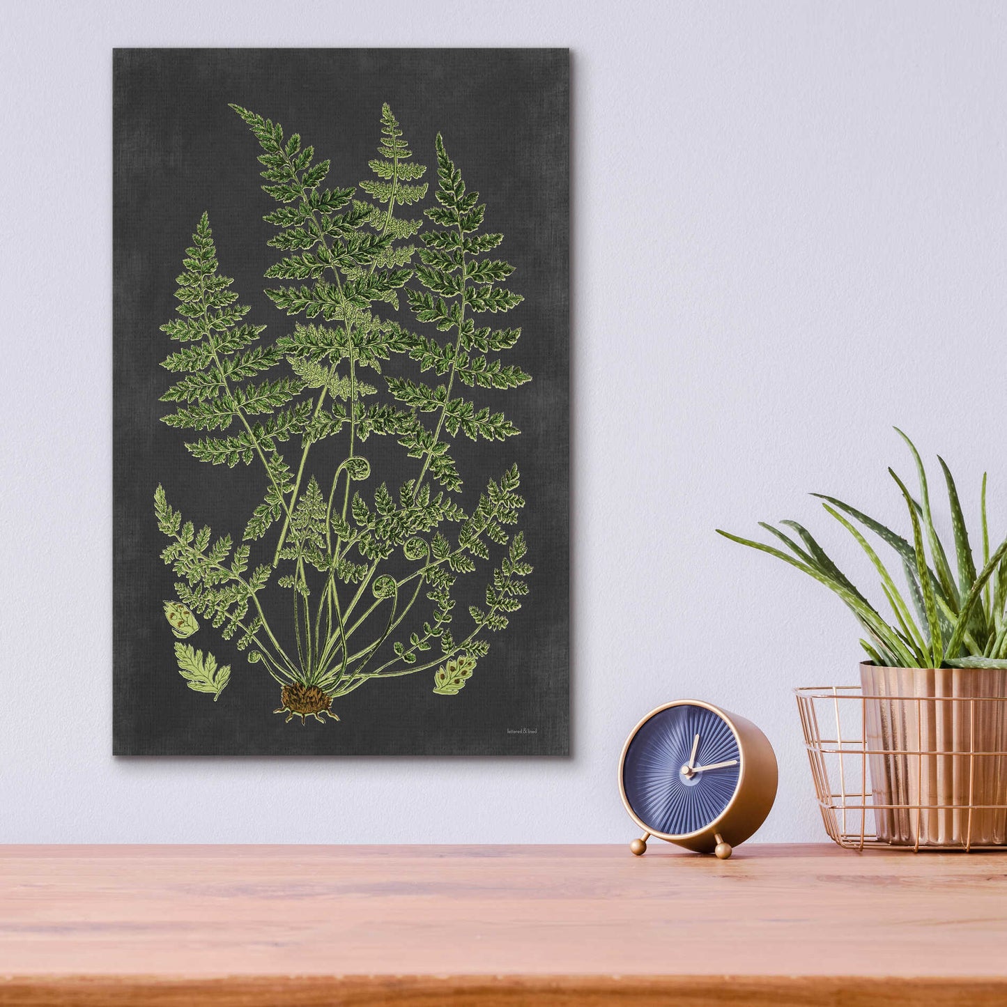 Epic Art 'Fern Study' by lettered & lined, Acrylic Glass Wall Art,12x16